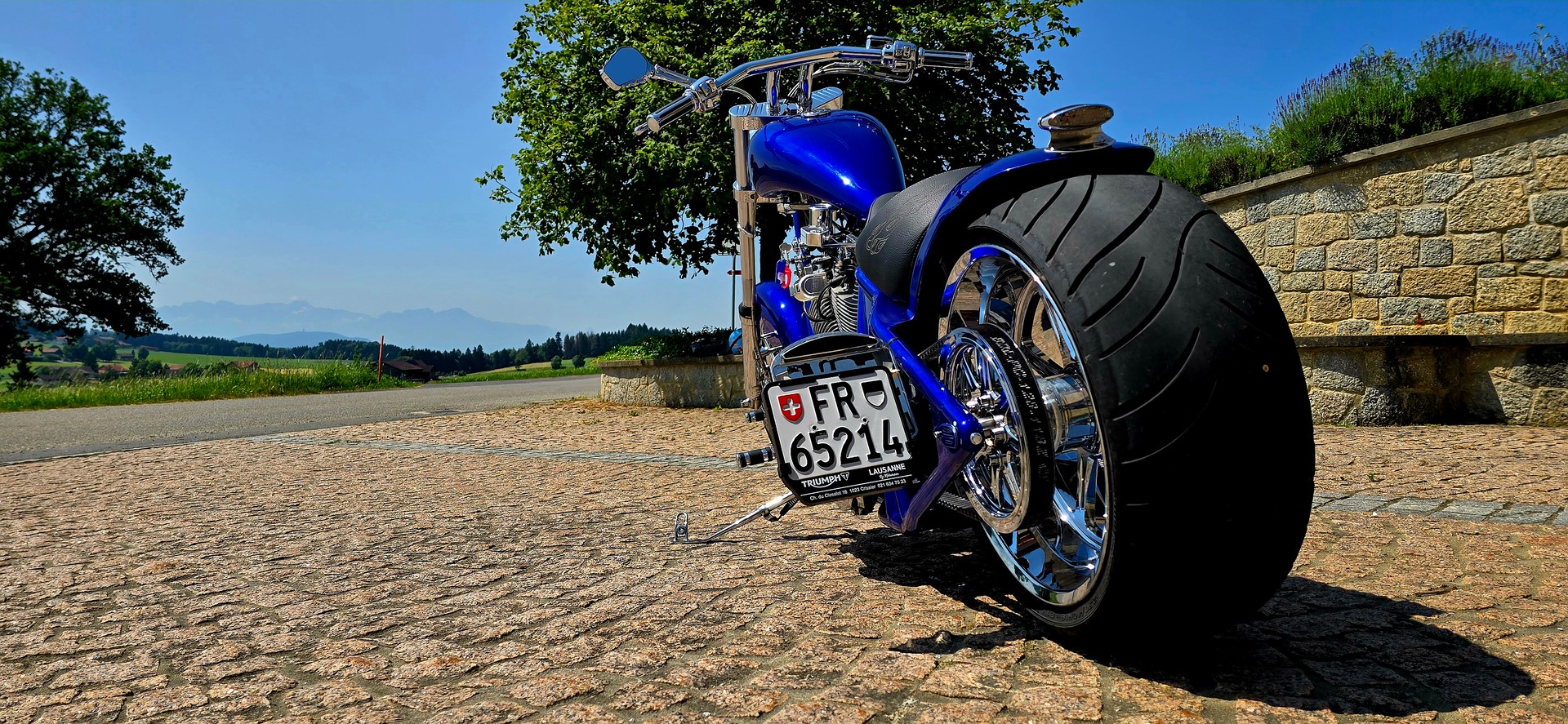 HARLEY-DAVIDSON 103 Kodlin E-Line 1.6 Litres-image-2