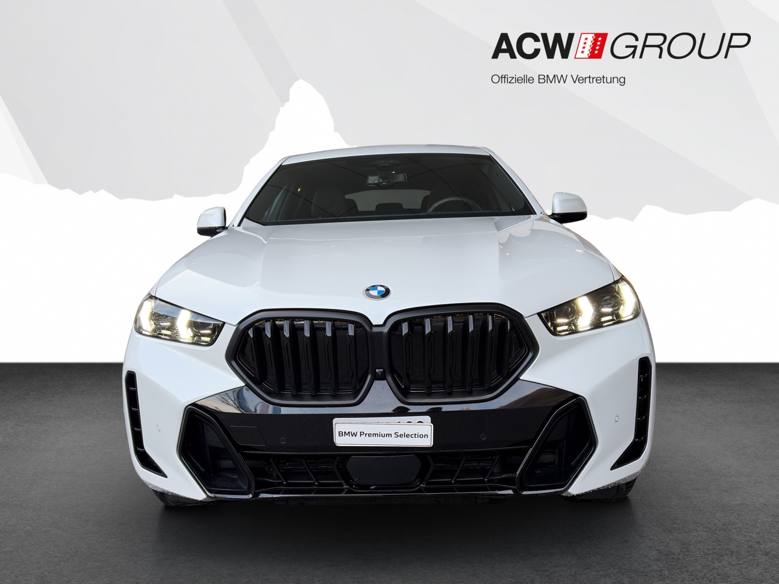BMW X6 40d xDrive-image-7