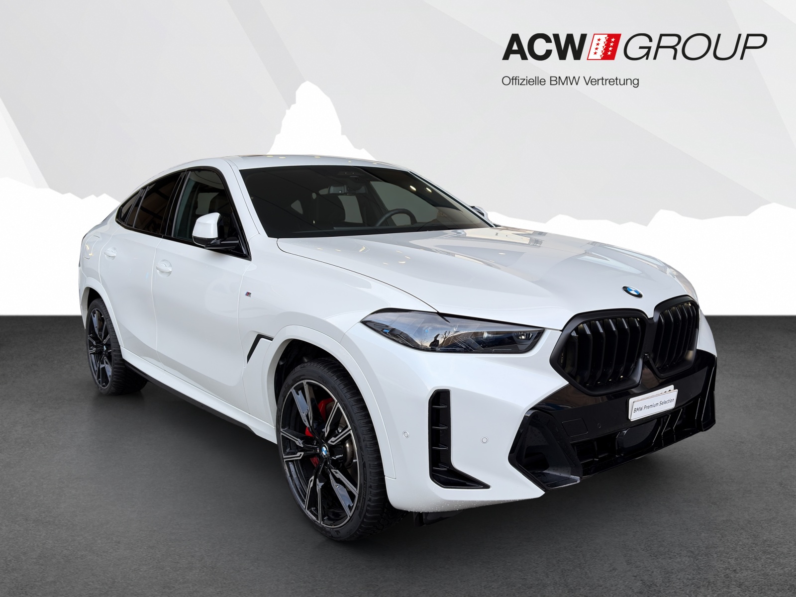BMW X6 40d xDrive-image-6
