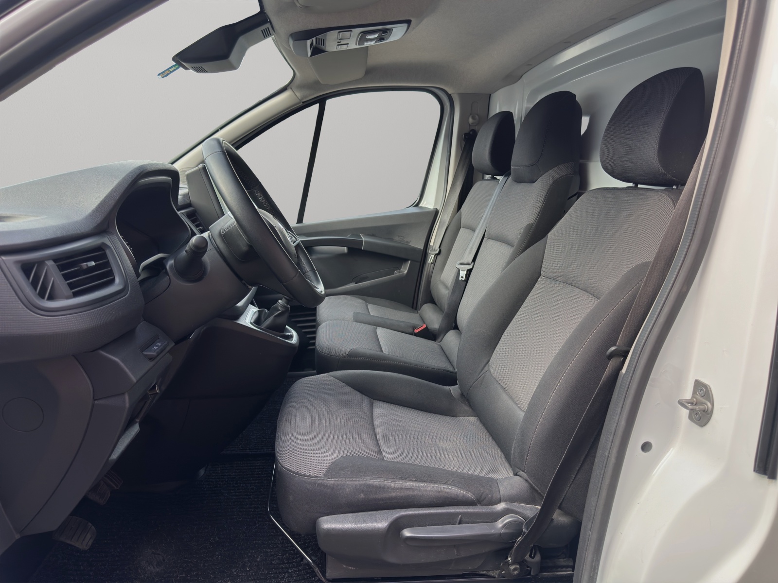 RENAULT Trafic 2.0 Blue dCi110 Pro+ L2H1 EN *Navigation / Anhängerkupplung-image-9