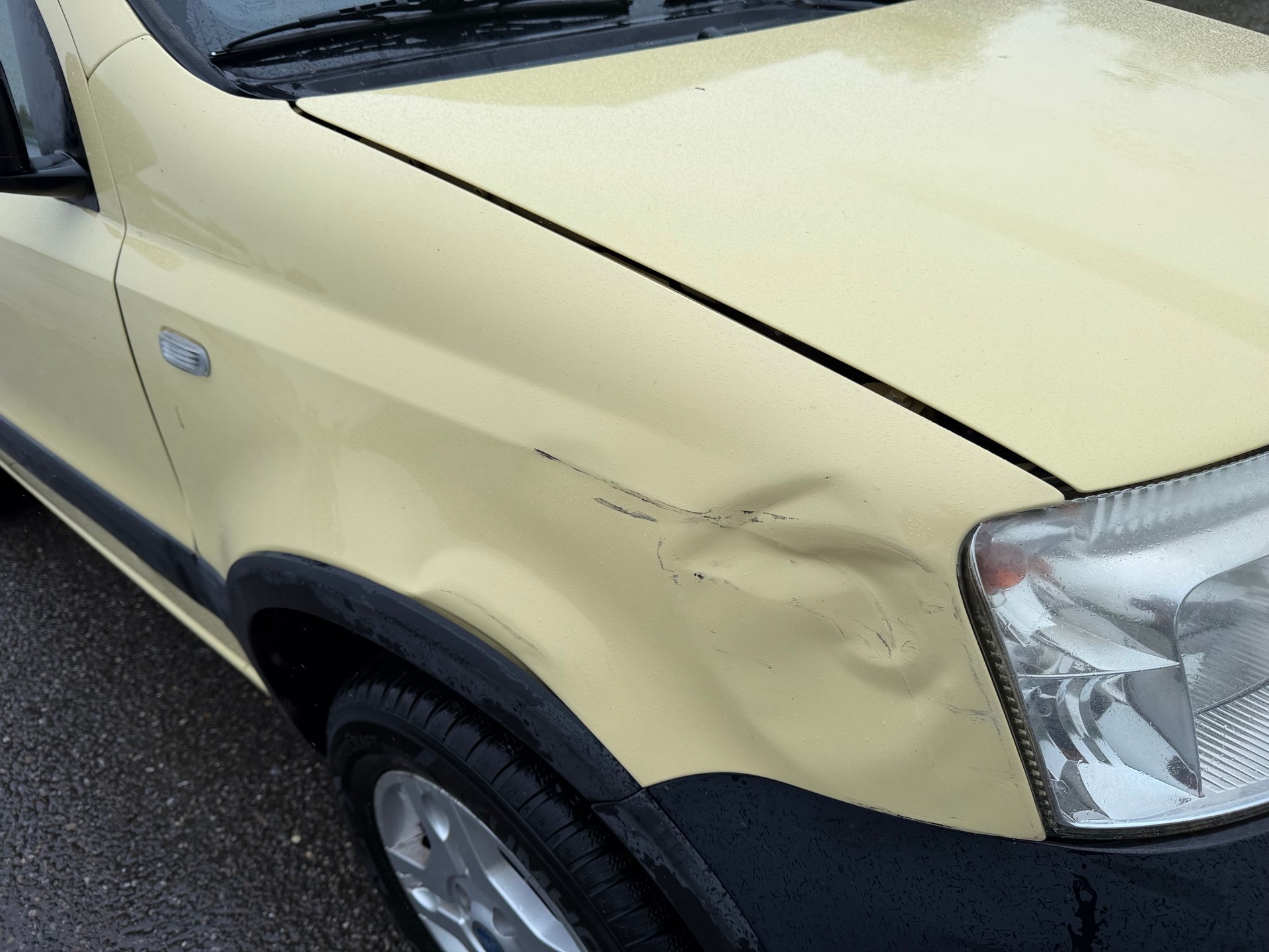 FIAT Panda 1.2 4x4 (Trekking)-image-9