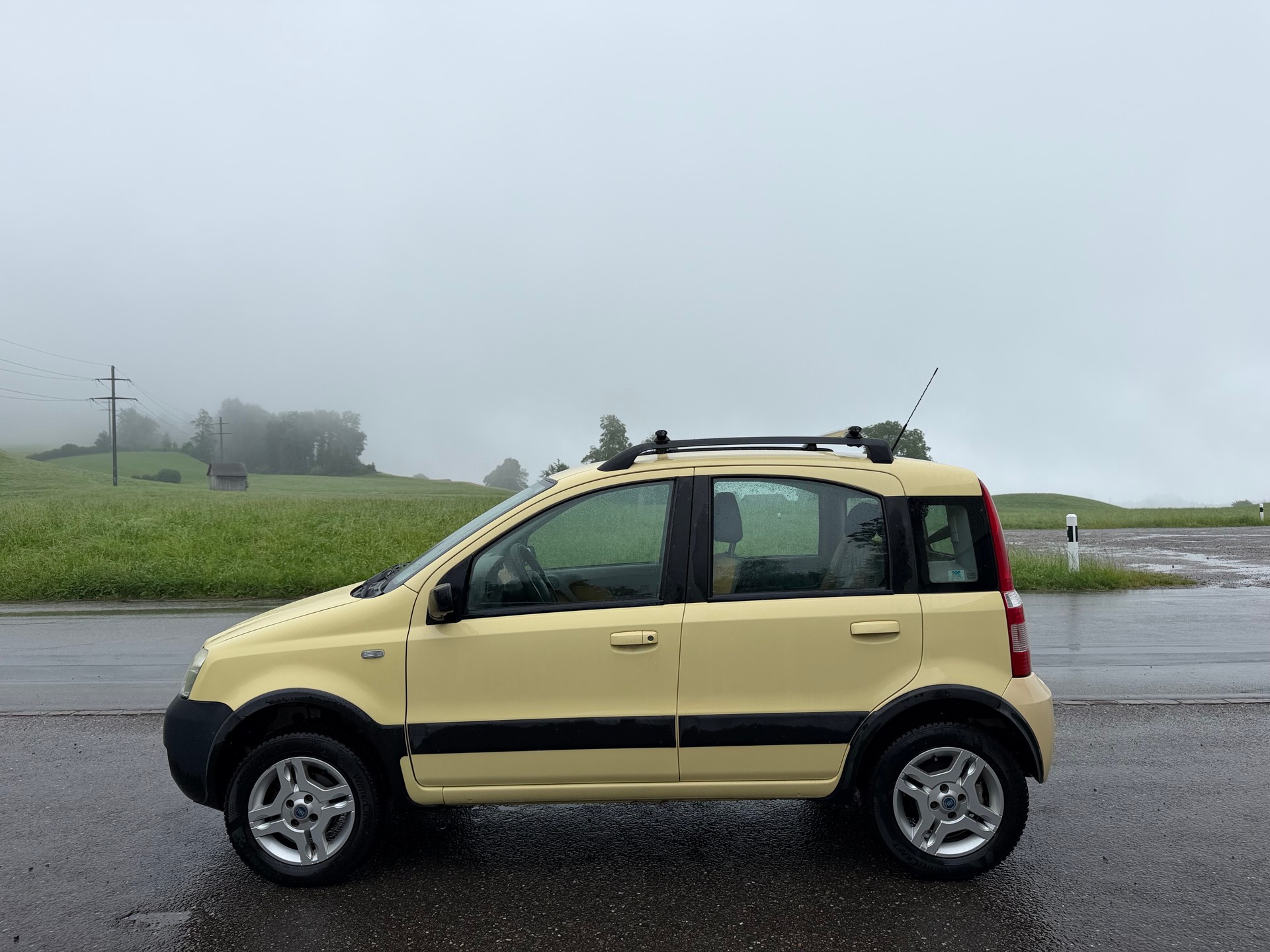 FIAT Panda 1.2 4x4 (Trekking)-image-0