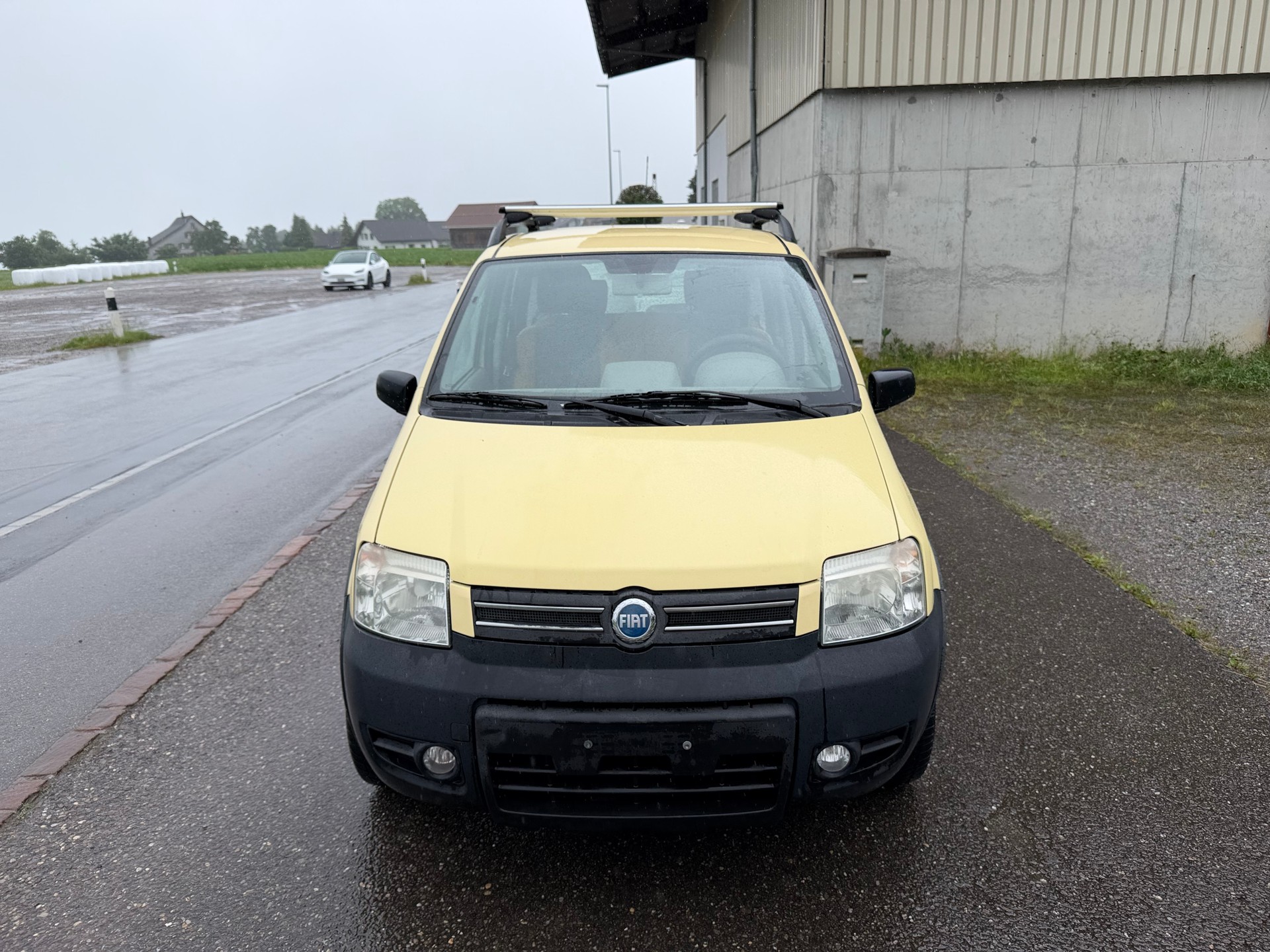 FIAT Panda 1.2 4x4 (Trekking)-image-3
