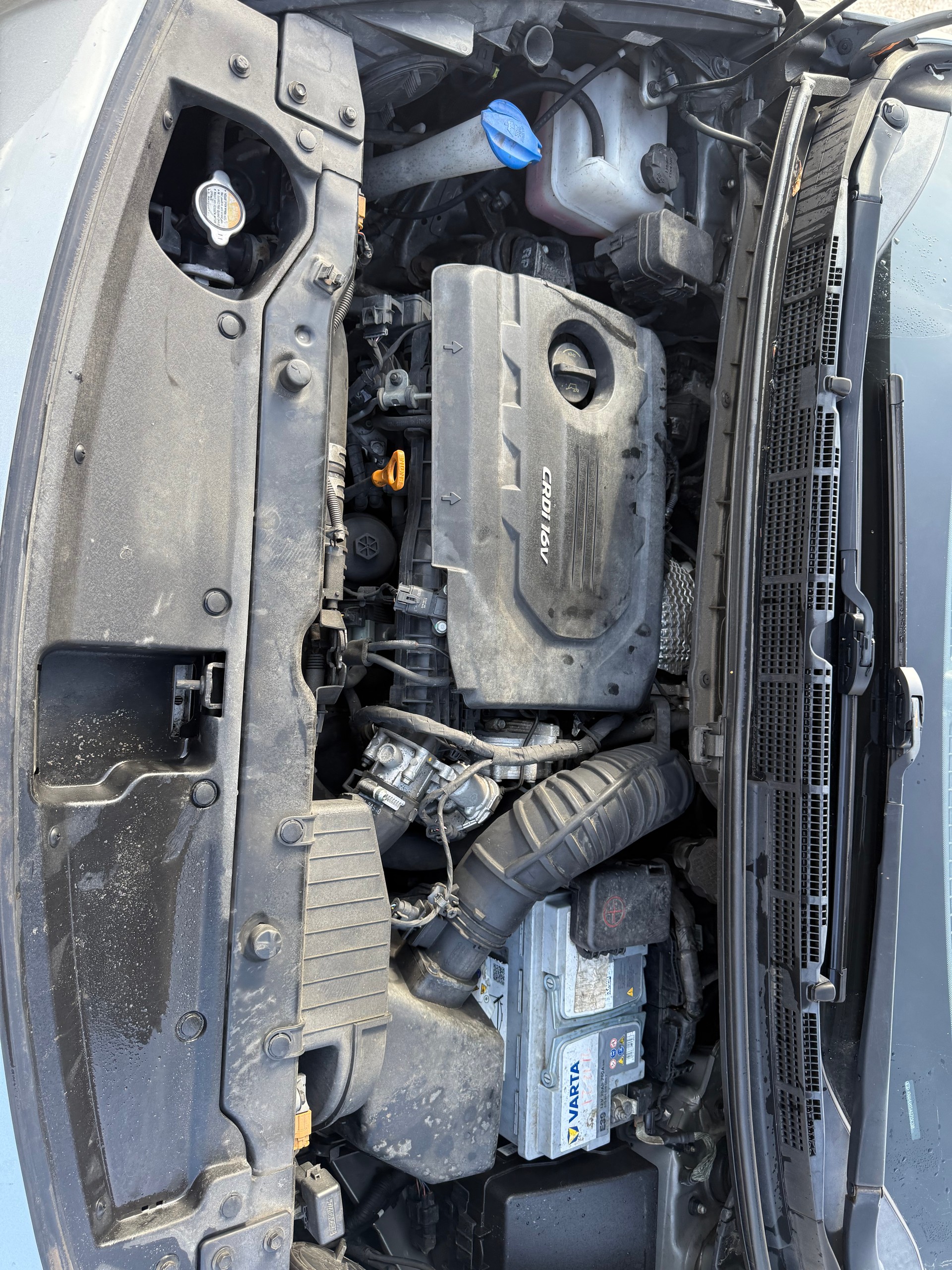 KIA Carens 1.7 CRDi Style-image-12