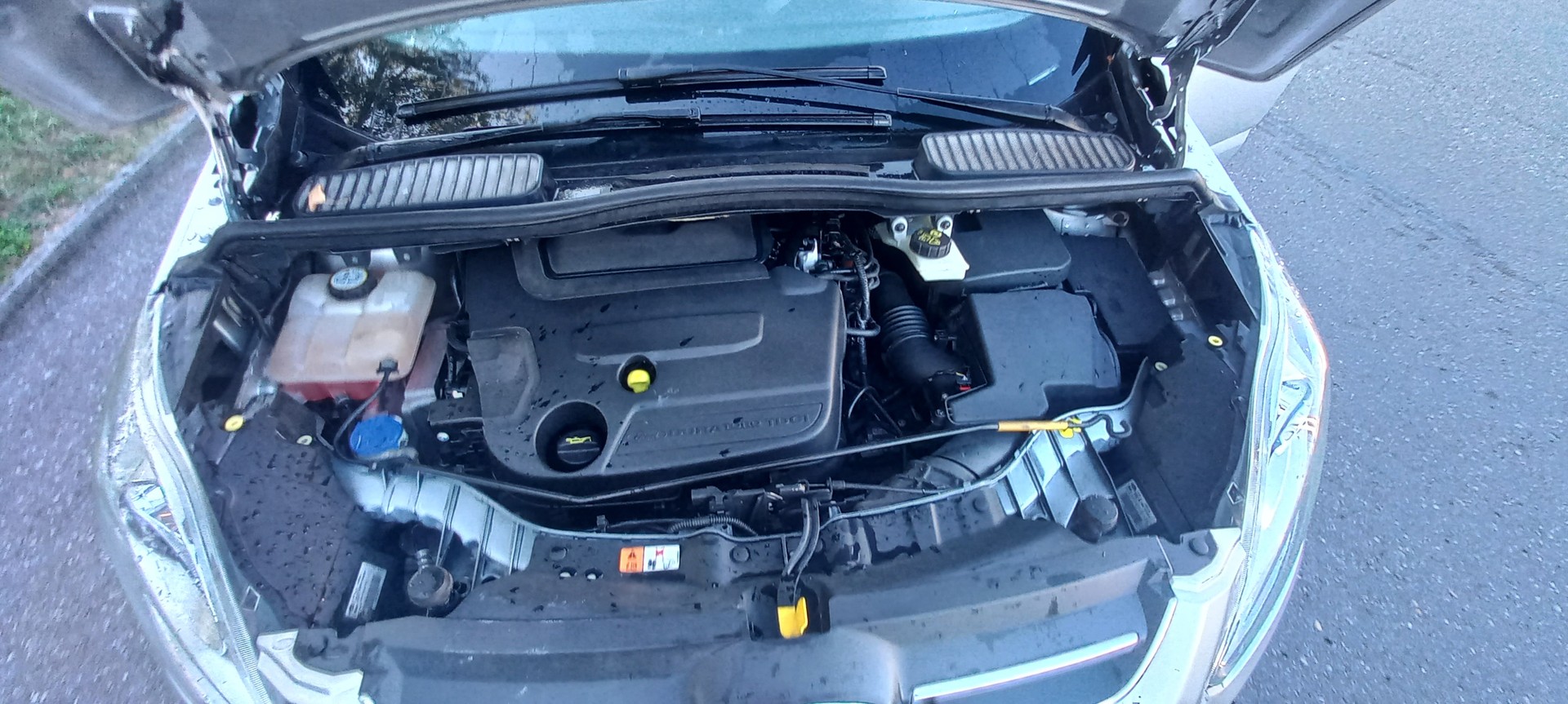 FORD C-Max 2.0 TDCi Carving PowerShift-image-13
