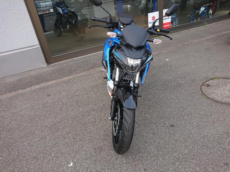 SUZUKI-image-1