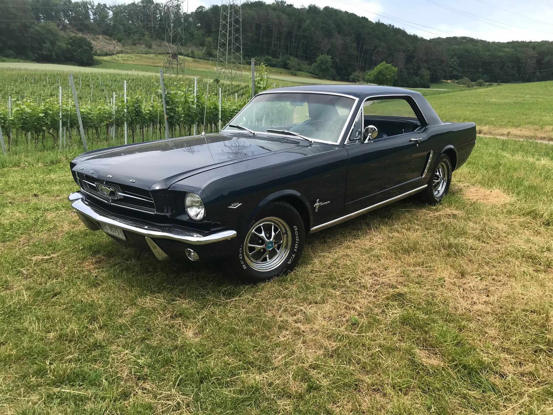 FORD MUSTANG-image-2