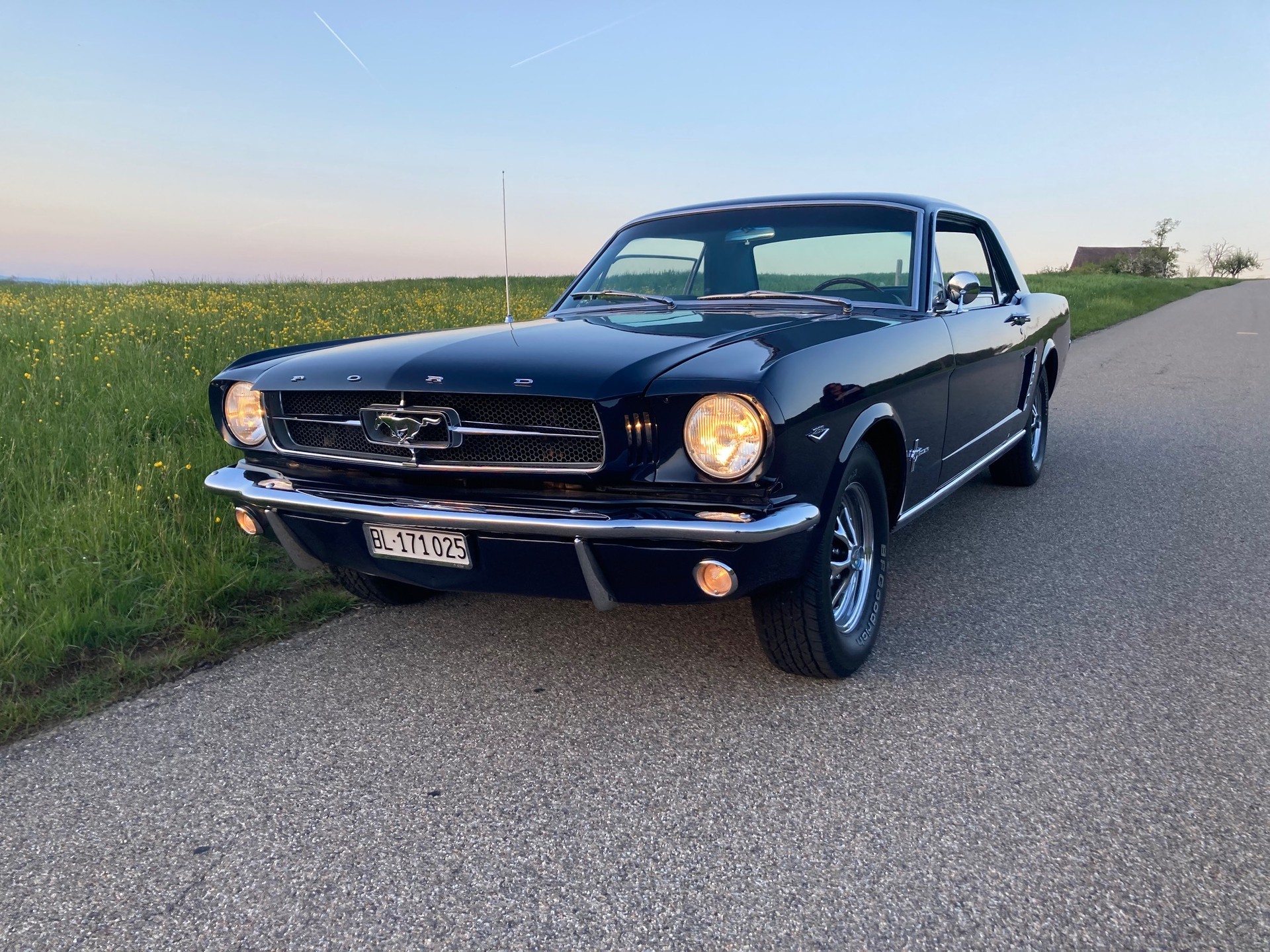FORD MUSTANG-image-6