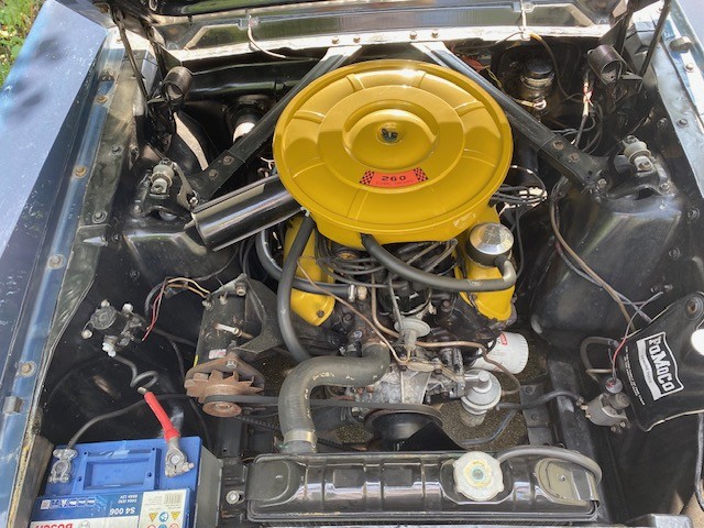 FORD MUSTANG-image-5