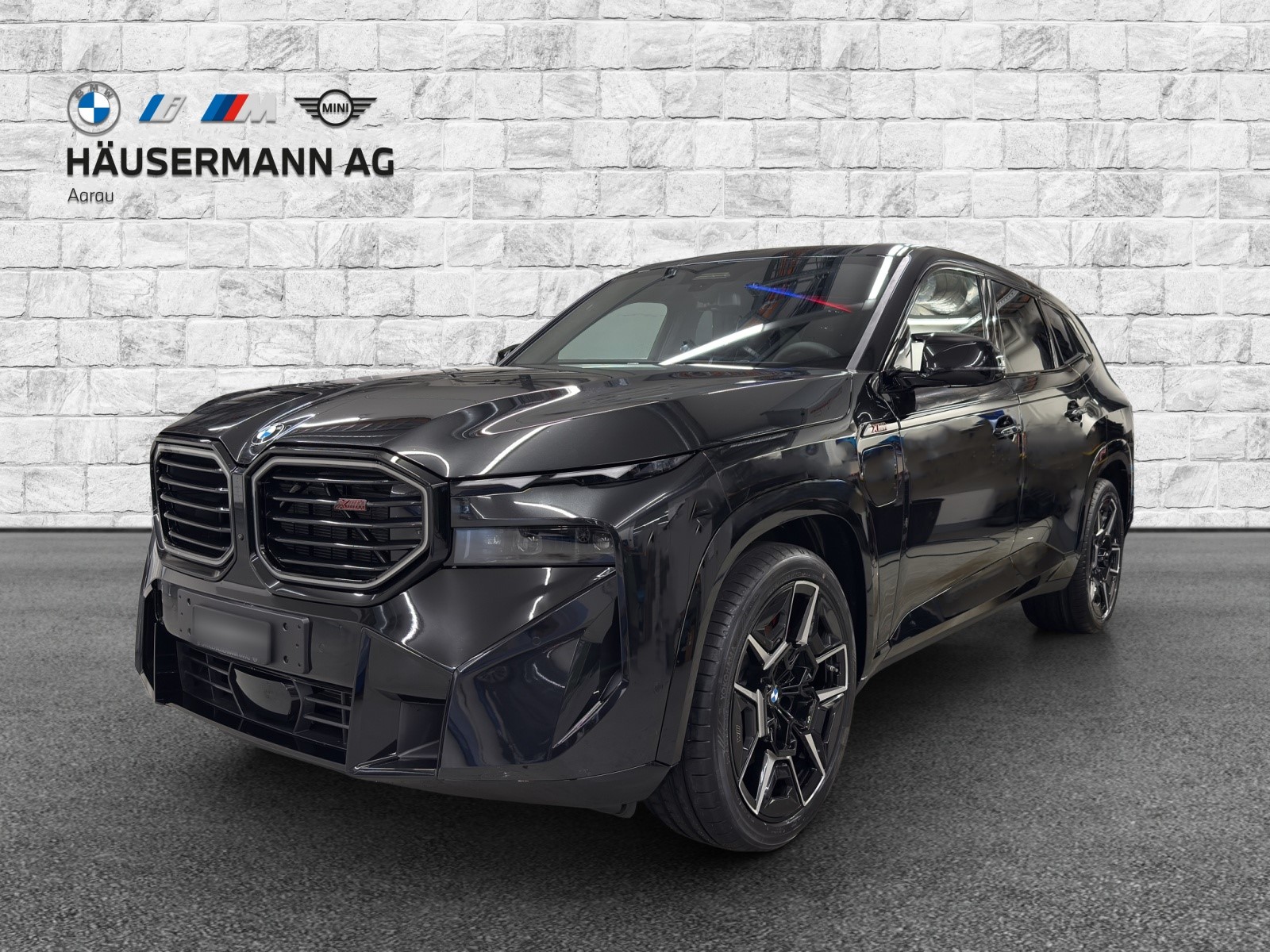 BMW XM xDrive PHEV Steptronic Label-image-0
