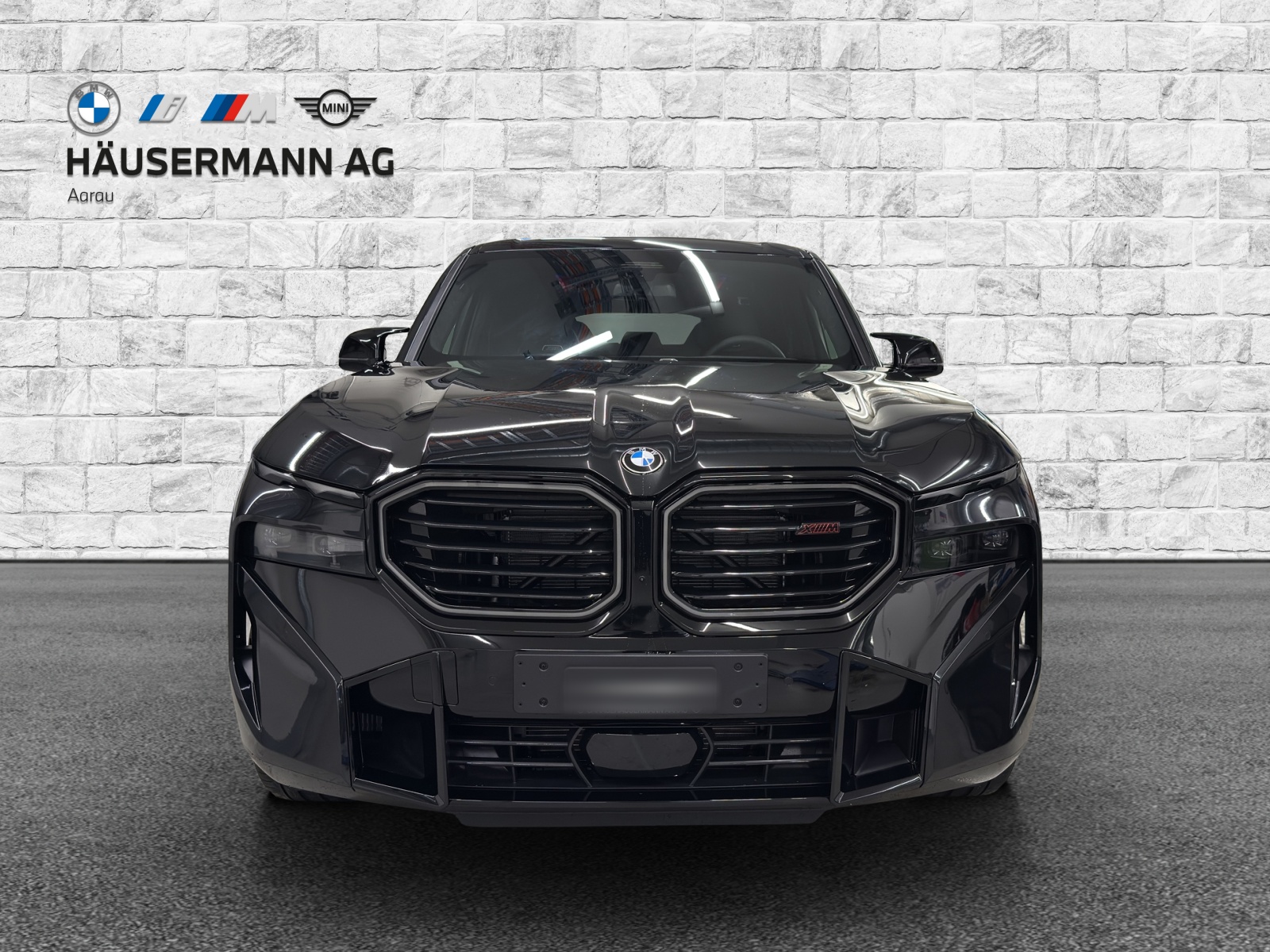 BMW XM xDrive PHEV Steptronic Label-image-1