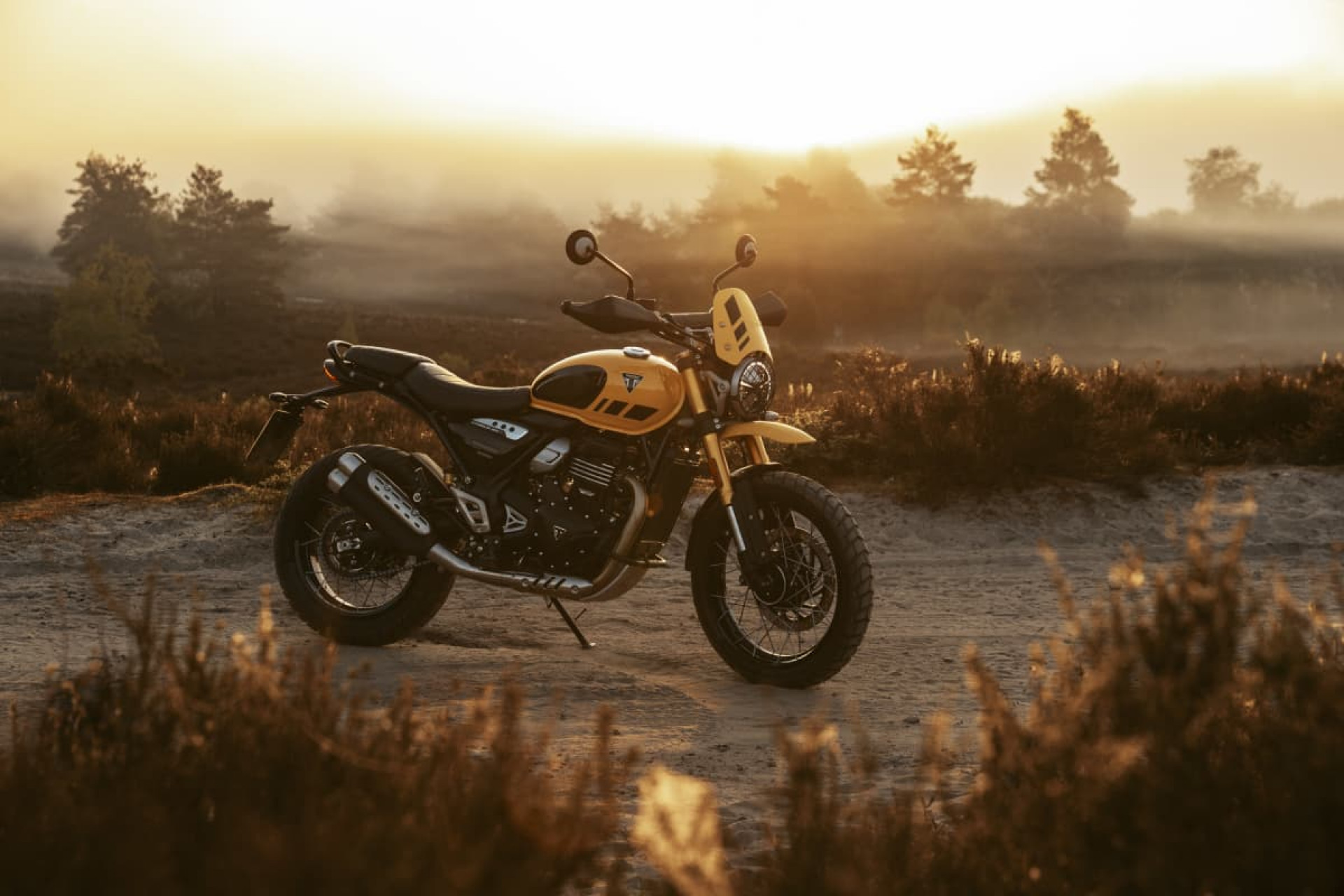 TRIUMPH Scrambler 400 XC-image-4
