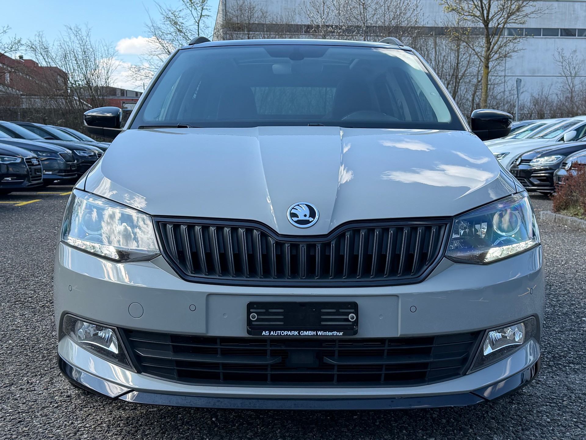 SKODA Fabia 1.0 TSI Monte Carlo-image-1