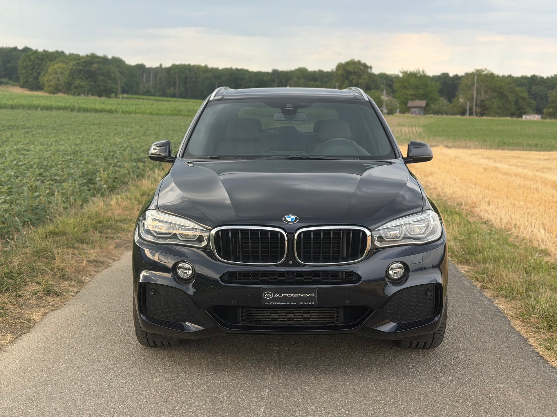 BMW X5 xDrive 40d Steptronic-image-0