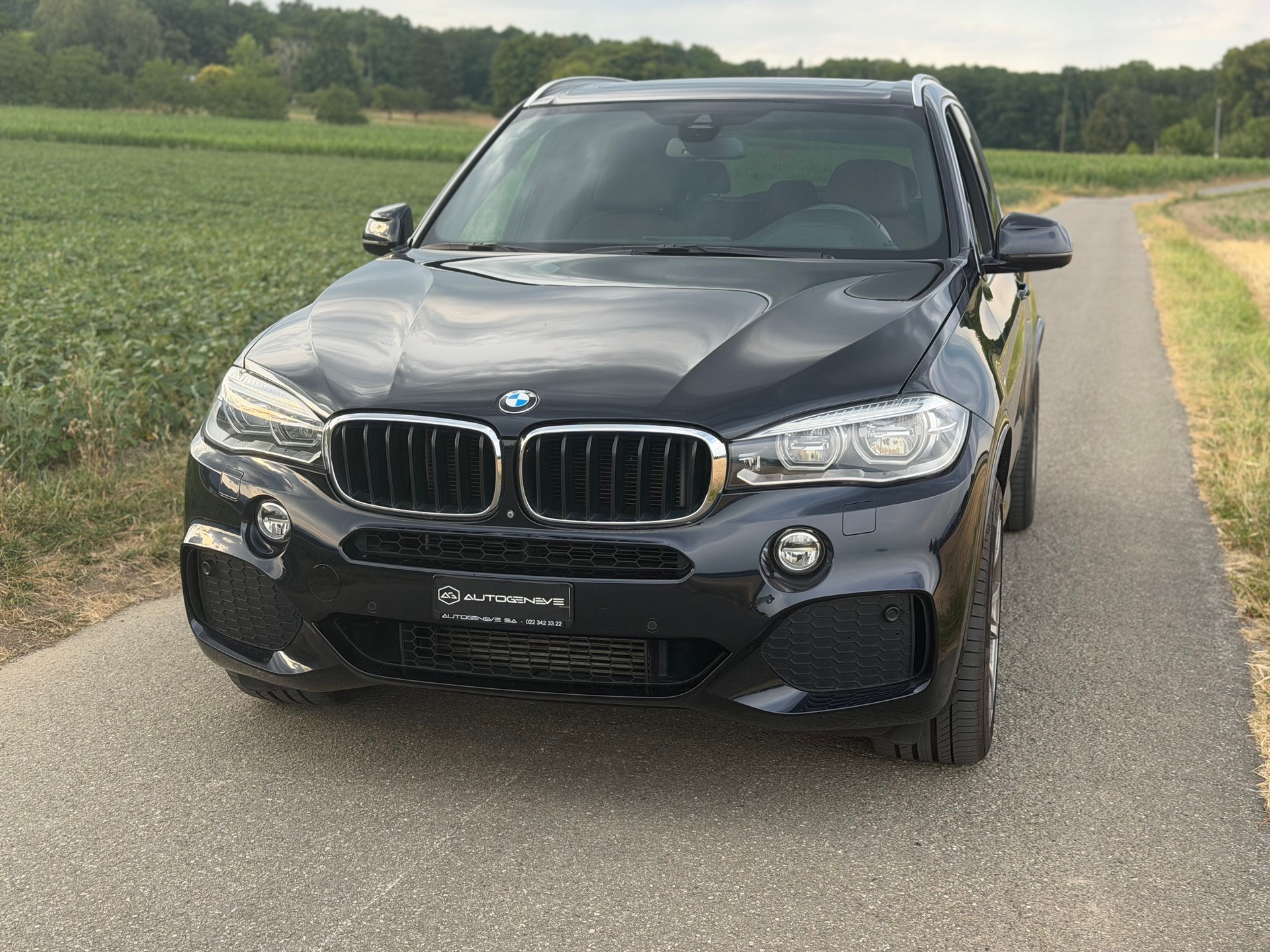 BMW X5 xDrive 40d Steptronic-image-6