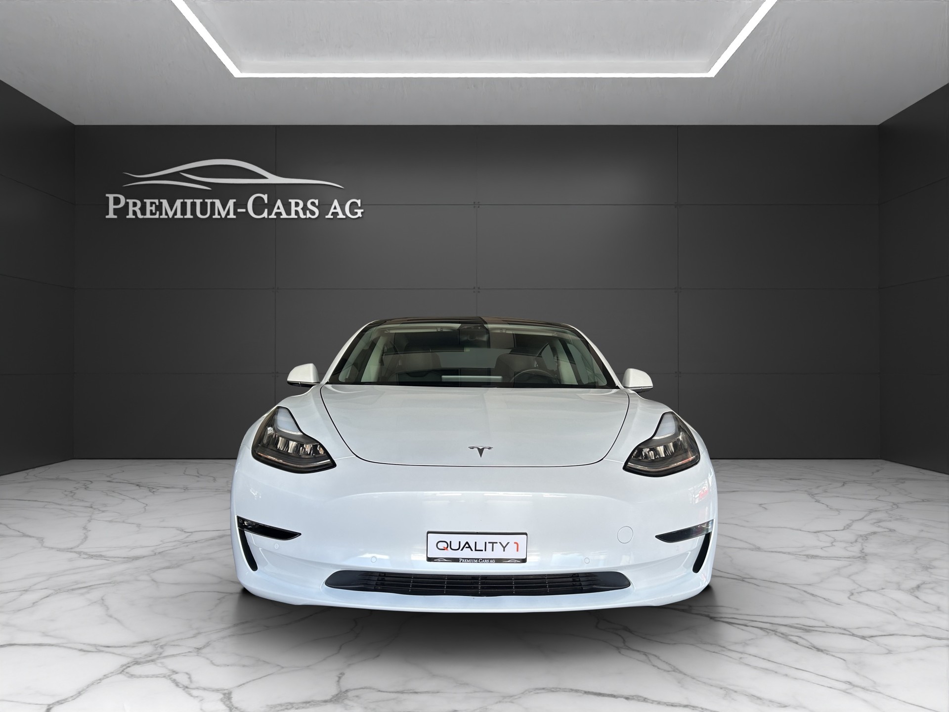 TESLA Model 3 Performance Dual Motor AWD / FSD-image-3