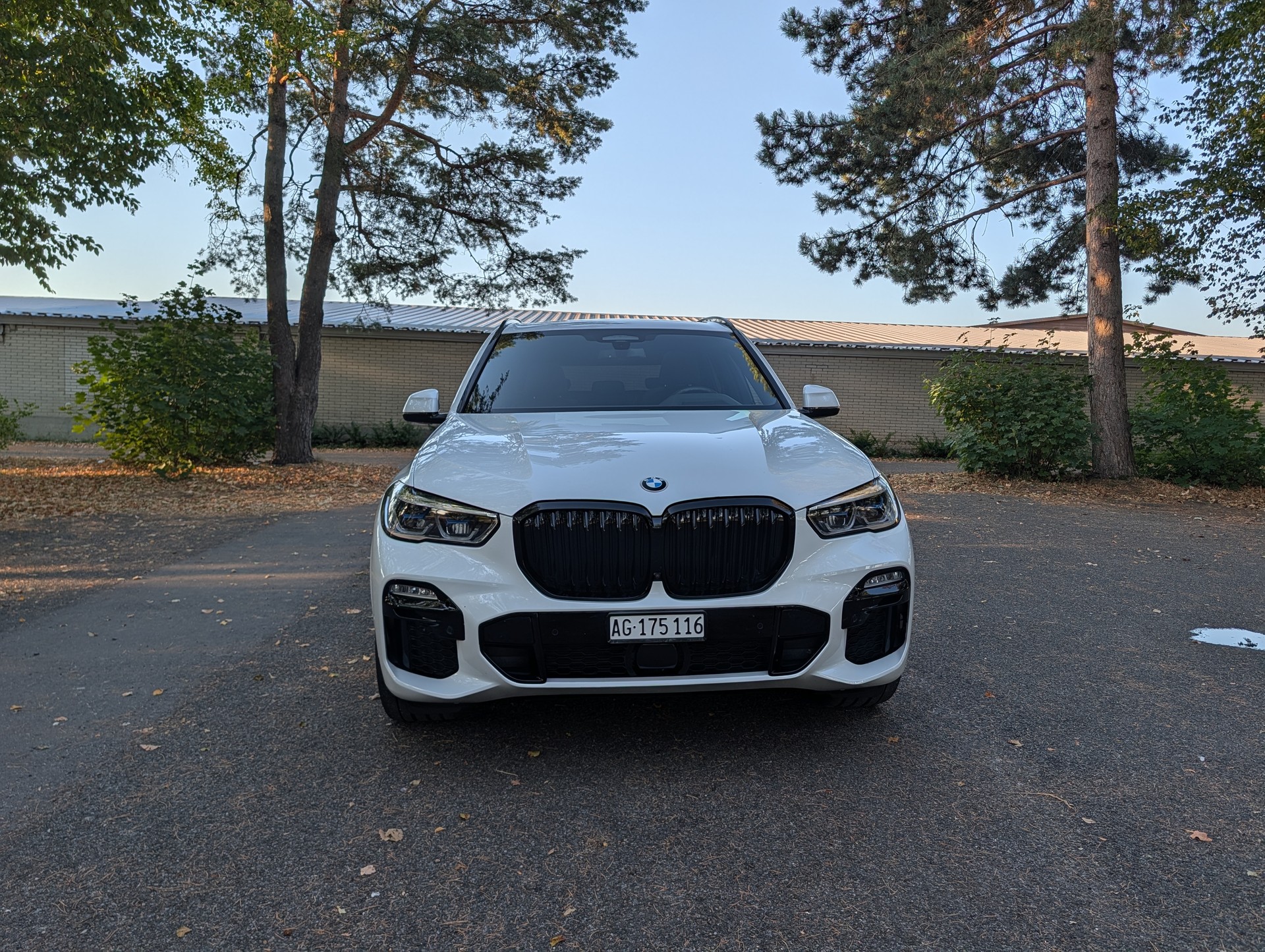 BMW 45e xDrive SAG-image-3