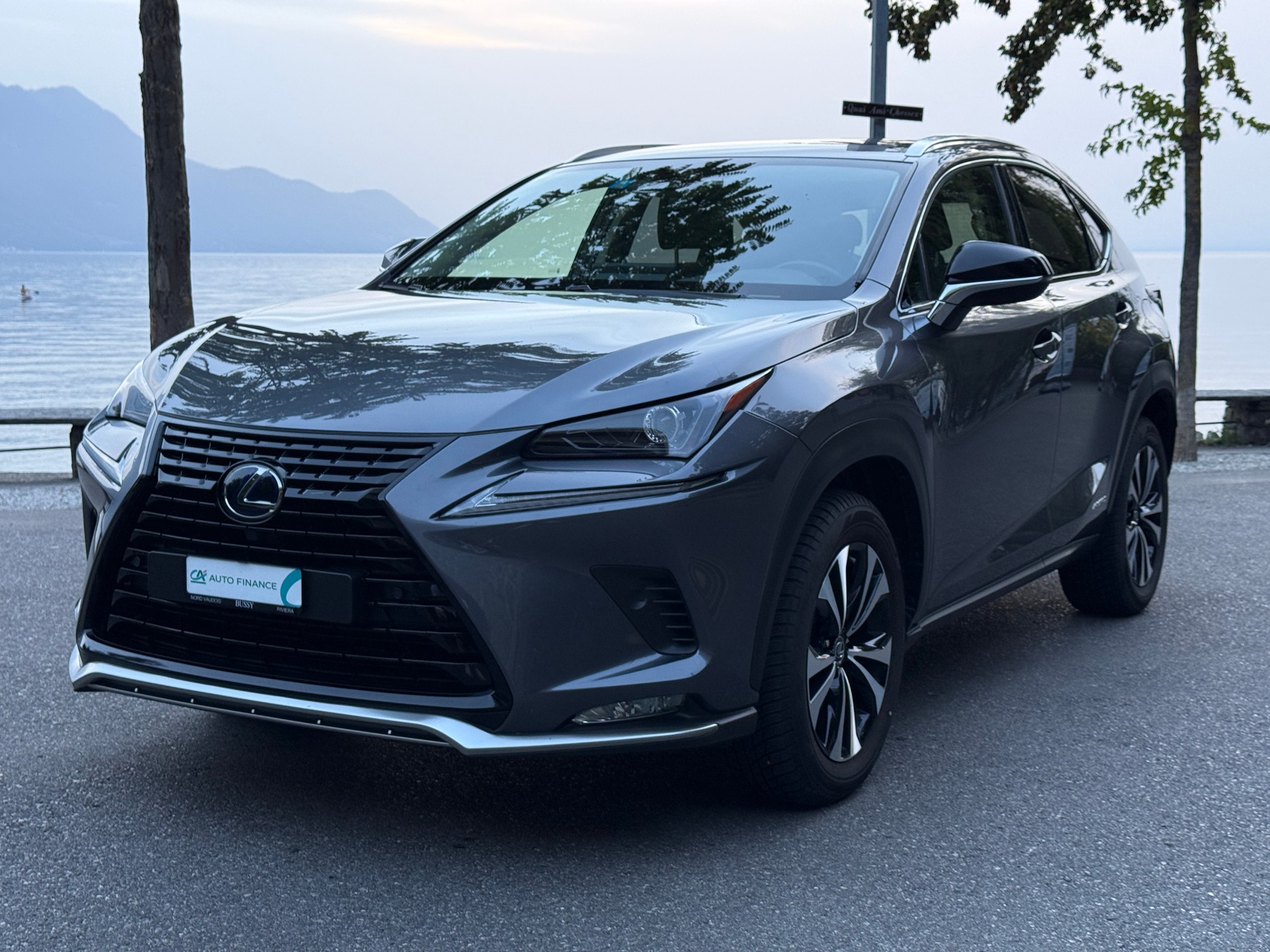 LEXUS NX 300h Celebrating 30 E-Four Automatic-showroom-element-2