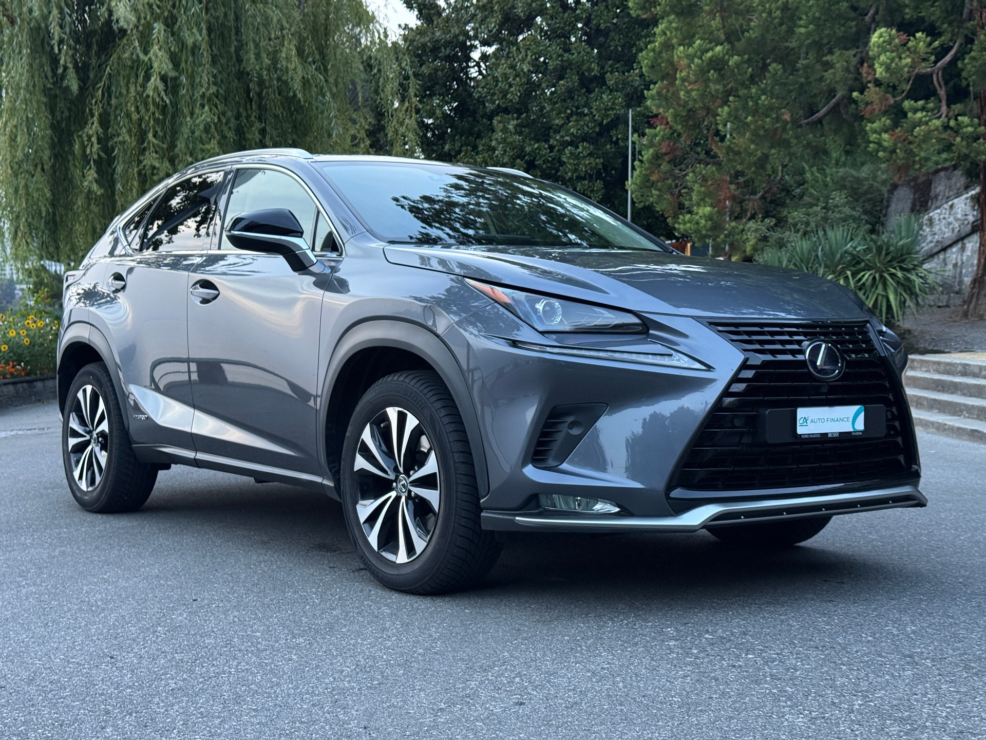 LEXUS NX 300h Celebrating 30 E-Four Automatic-showroom-element-3