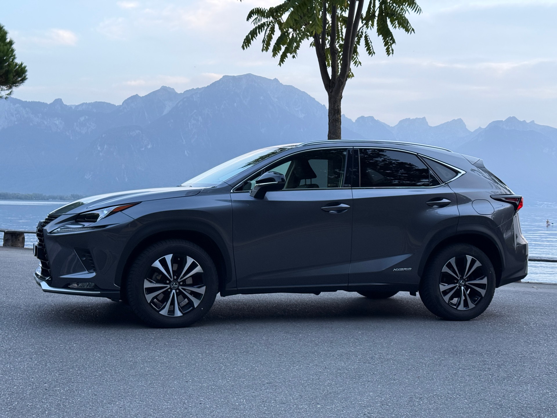 LEXUS NX 300h Celebrating 30 E-Four Automatic
