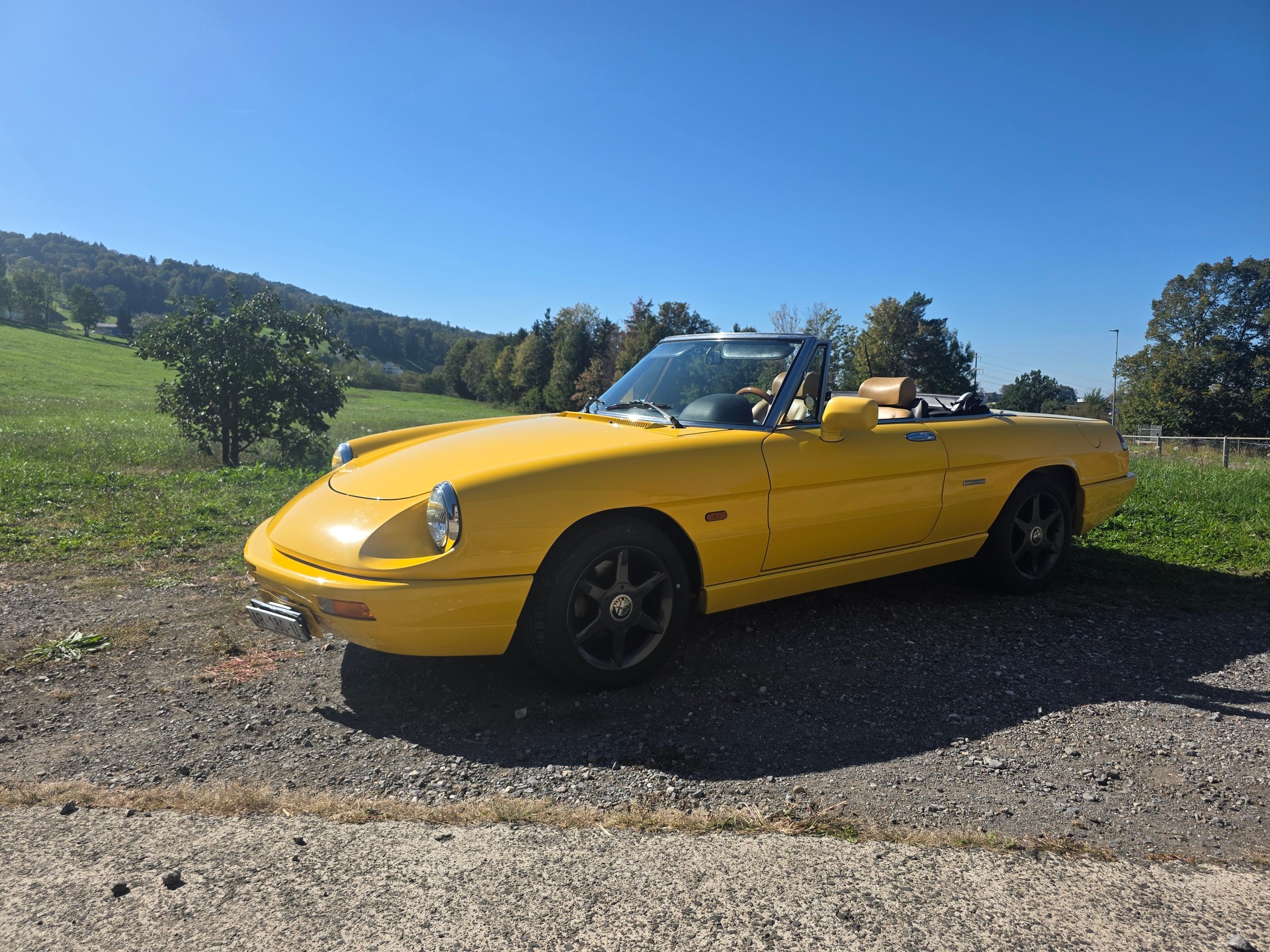 ALFA ROMEO 2.0 Q.Verde-image-1