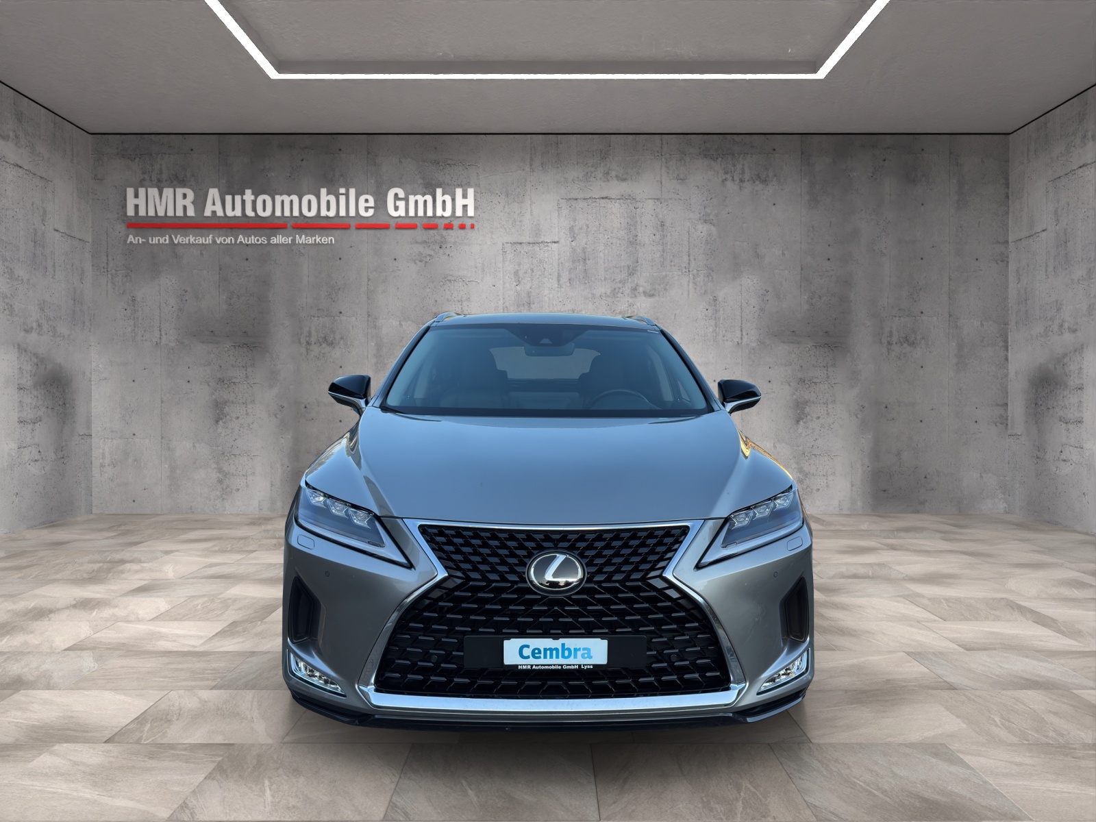 LEXUS RX 300 Special Edition AWD-image-4
