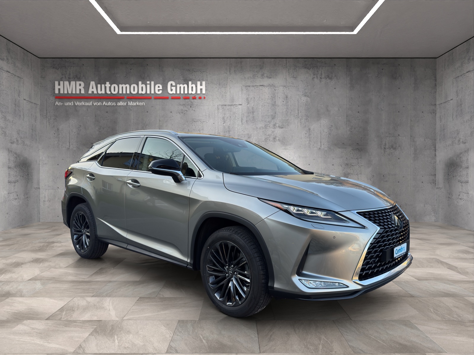 LEXUS RX 300 Special Edition AWD-image-0