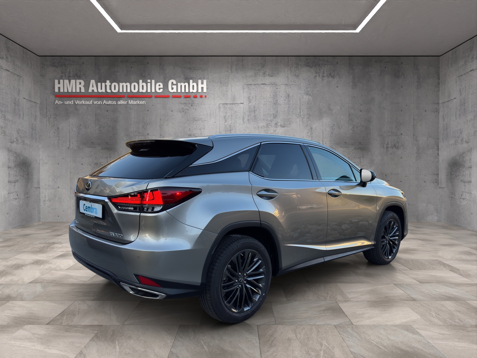 LEXUS RX 300 Special Edition AWD-image-3