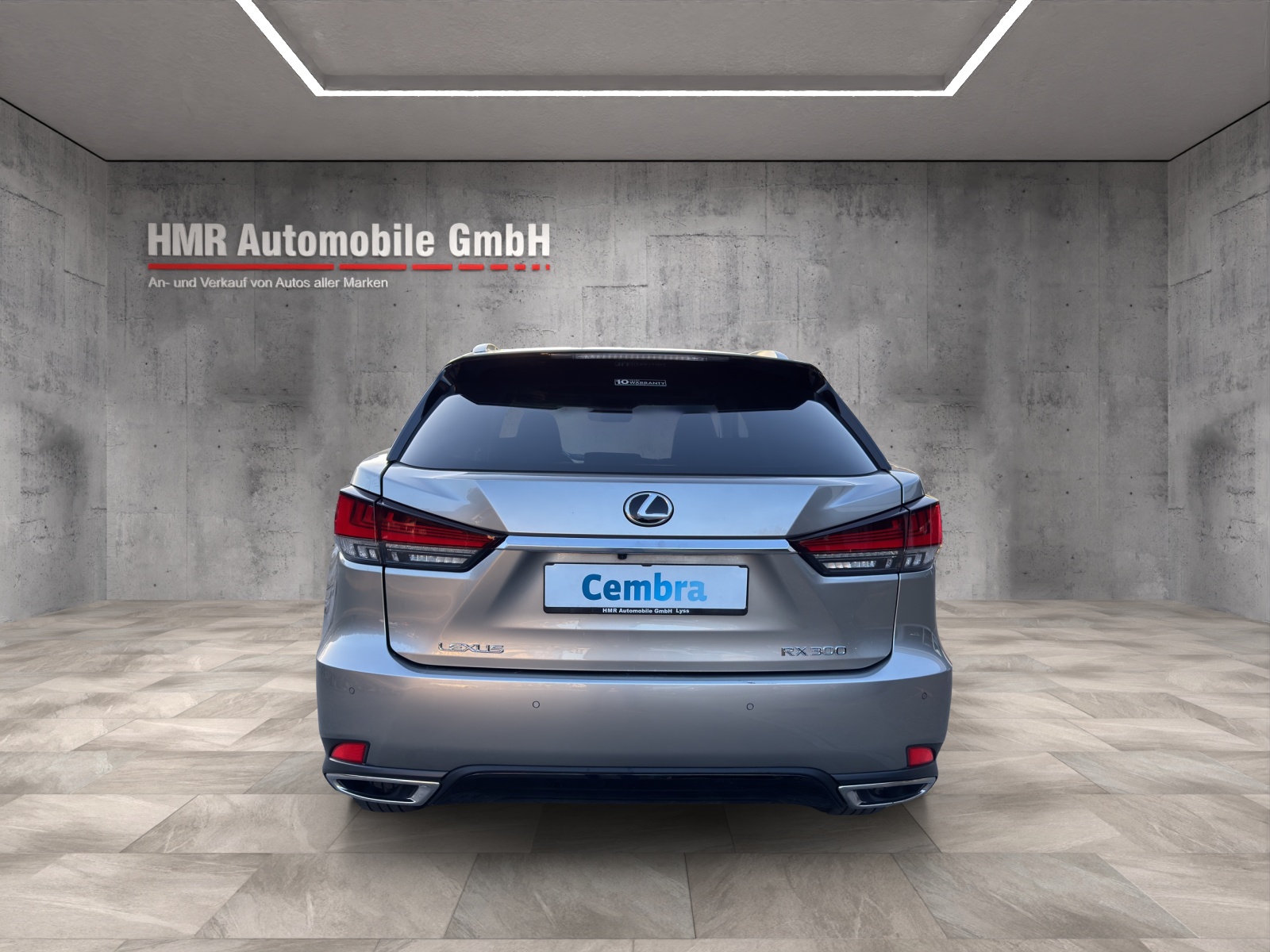 LEXUS RX 300 Special Edition AWD-image-5