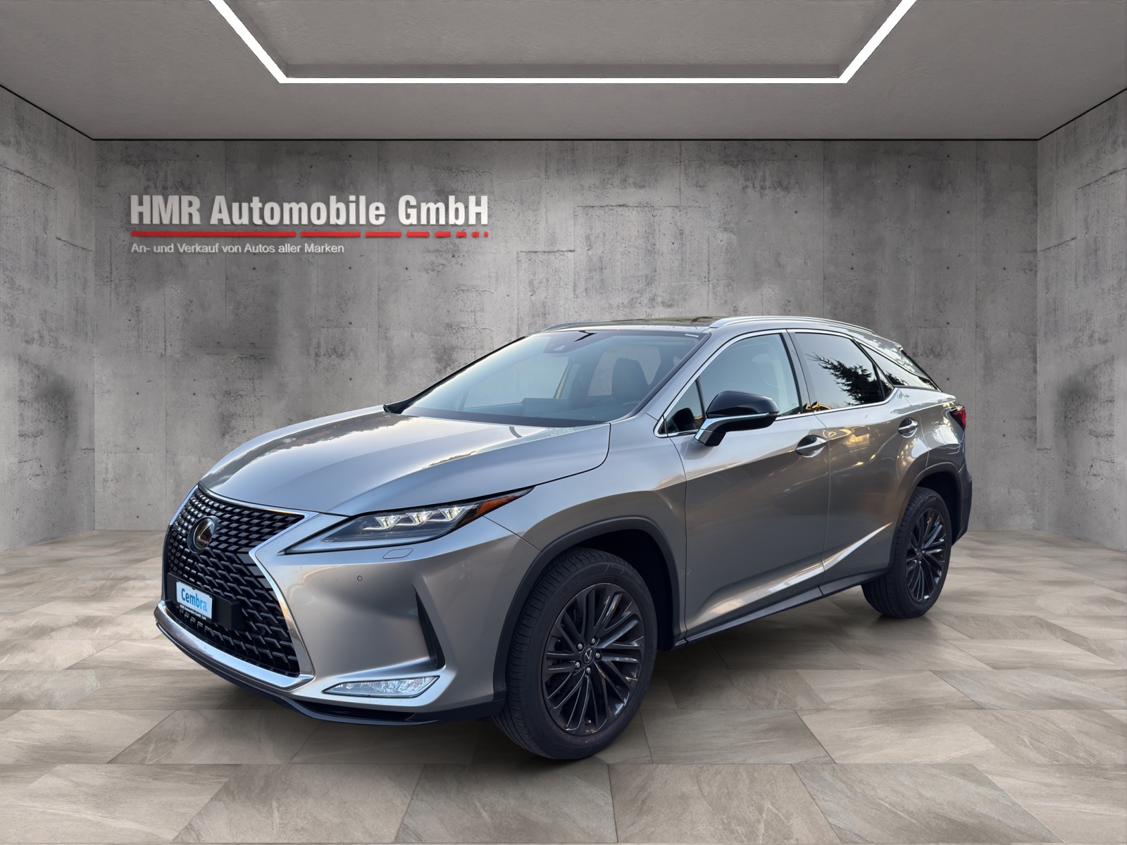 LEXUS RX 300 Special Edition AWD-image-2