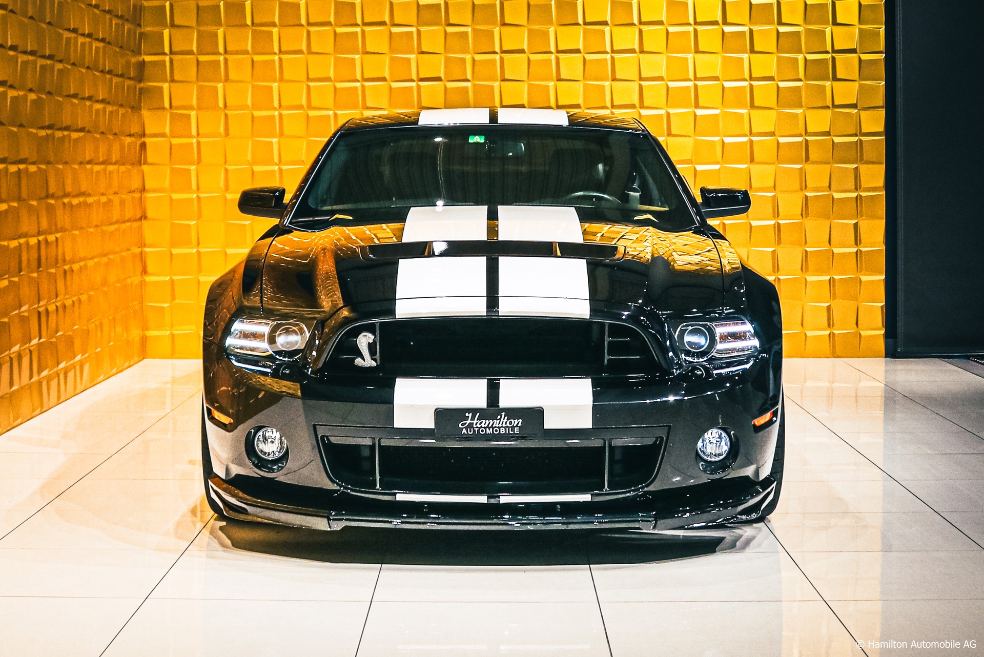 FORD Mustang Shelby GT500-image-2