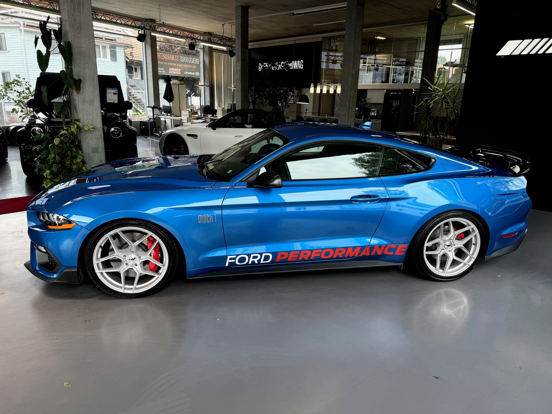 FORD Mustang Fastback 5.0 V8 Mach 1-image-3