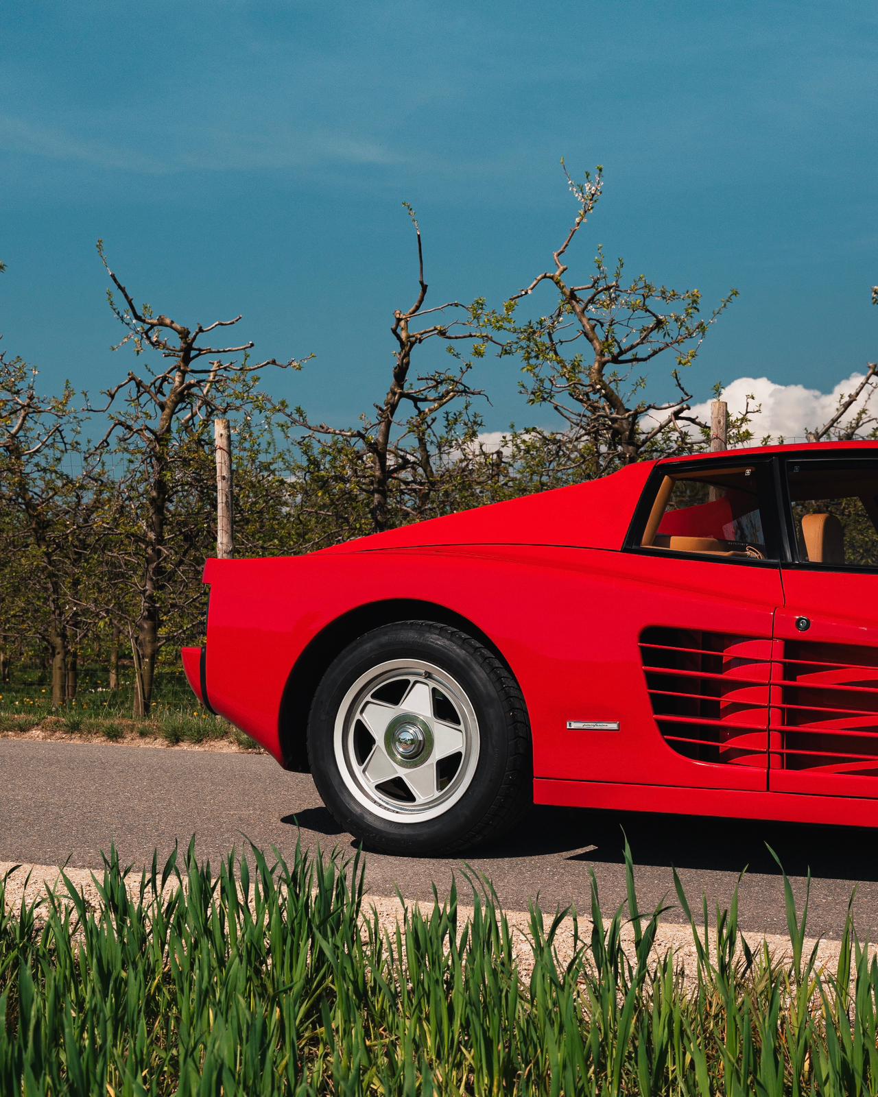 FERRARI Testarossa-image-1