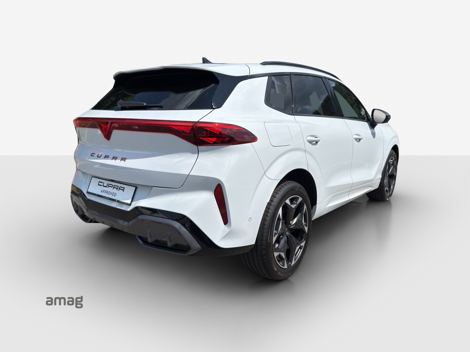 CUPRA Terramar 2.0 TSI DSG 4Drive VZ-image-4