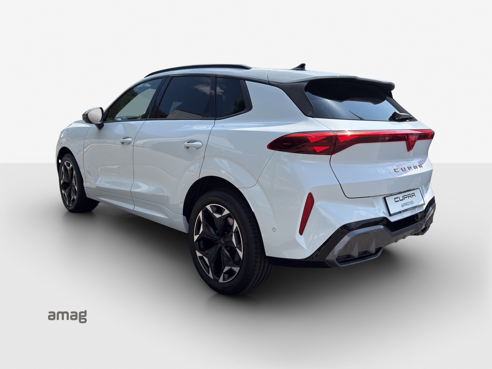 CUPRA Terramar 2.0 TSI DSG 4Drive VZ-image-2