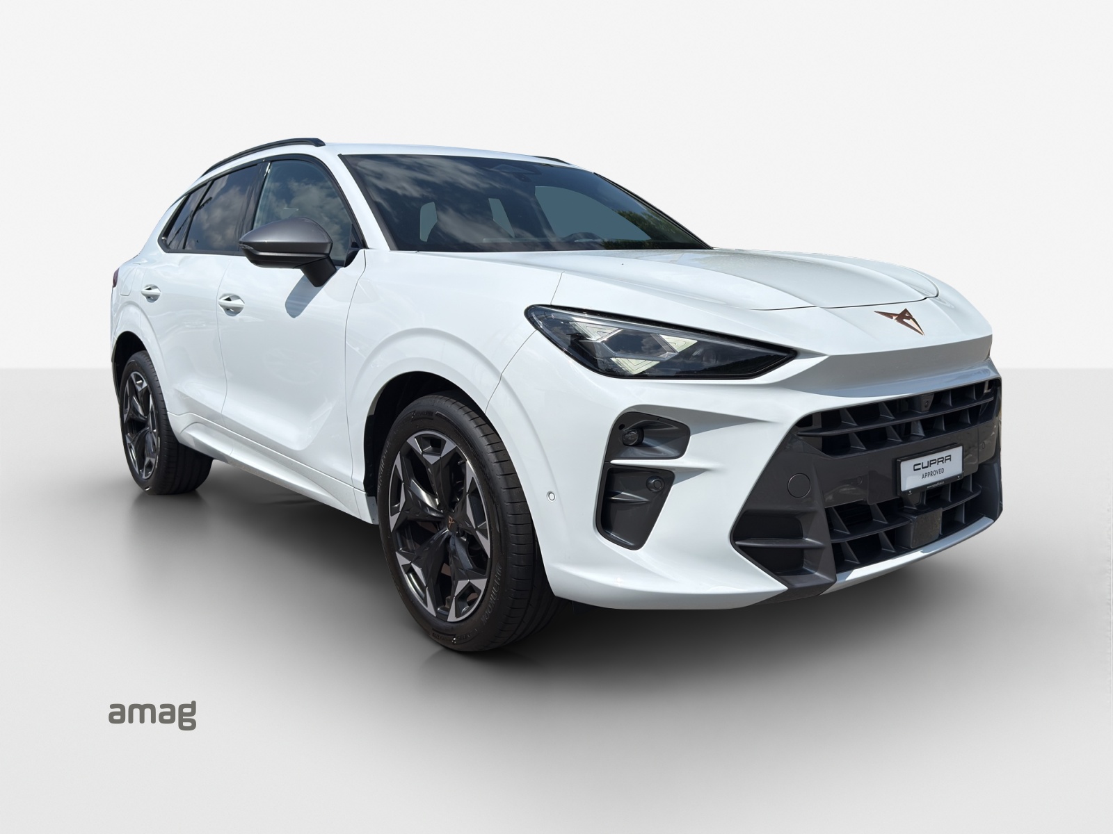 CUPRA Terramar 2.0 TSI DSG 4Drive VZ-image-5