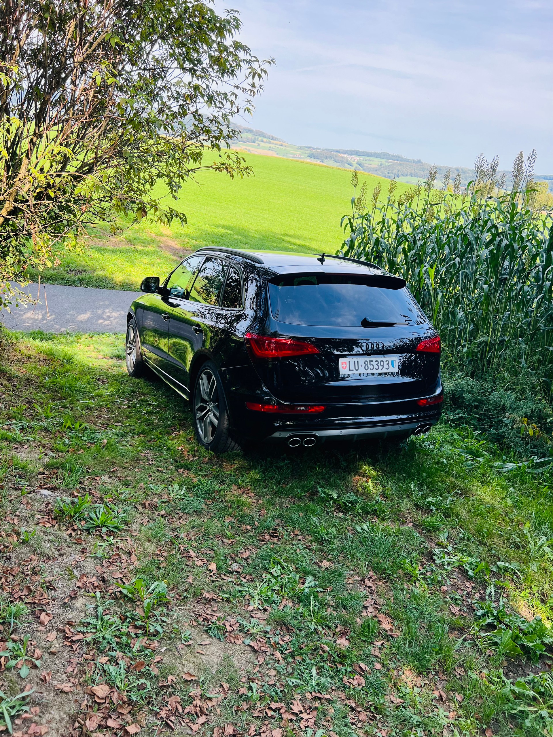 AUDI 3.0 V6 Bi-TDI quattro T-Tronic-image-1