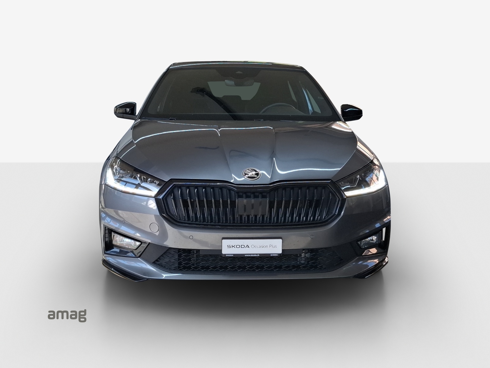 SKODA Fabia 1.5 TSI Monte Carlo DSG-image-6