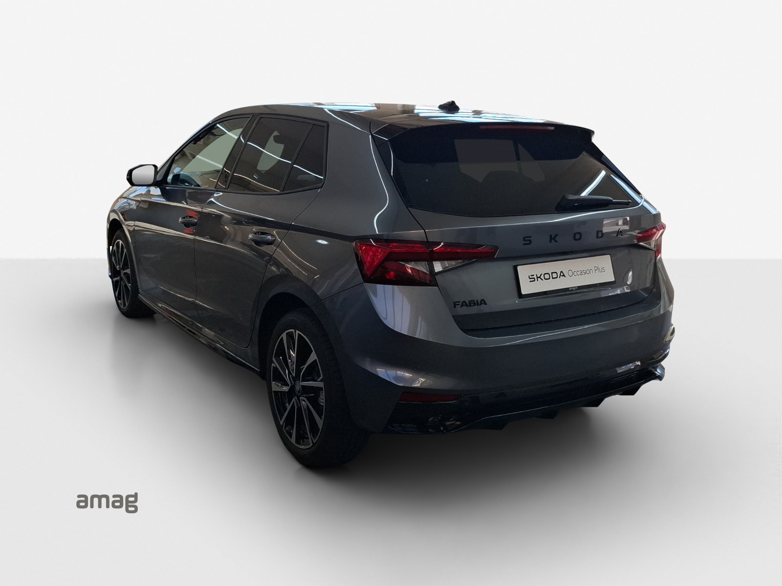 SKODA Fabia 1.5 TSI Monte Carlo DSG-image-2