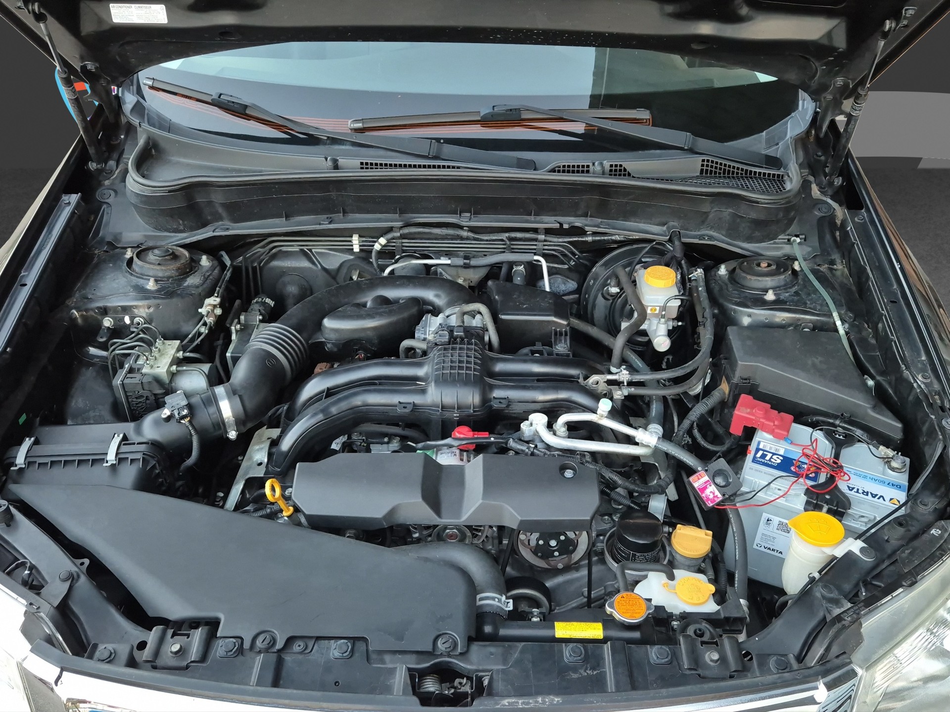 SUBARU Forester 2.0XS Limited Automatic-image-6