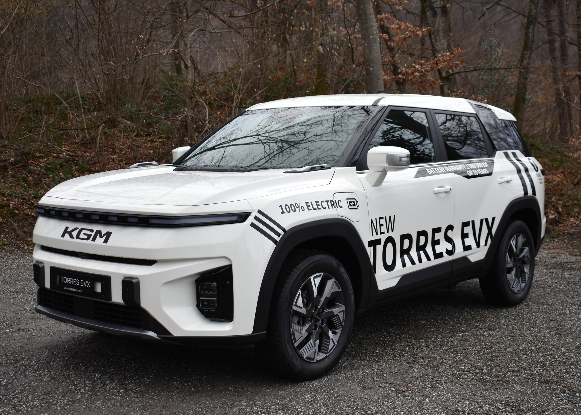 KGM-SsangYong Torres EVX 81 kWh Bronze