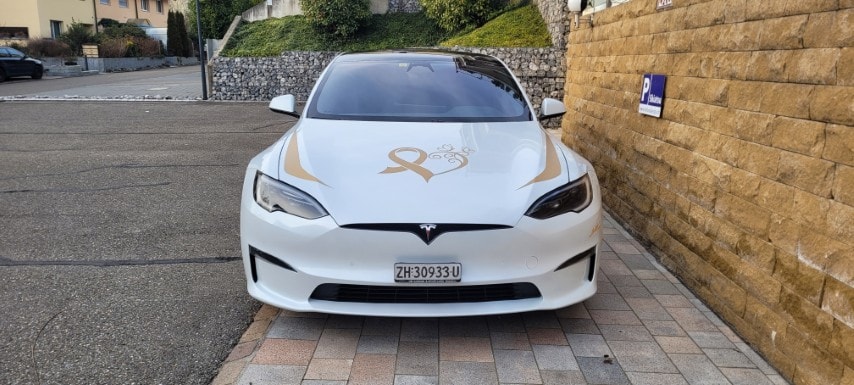 TESLA Model S 100 kWh Plaid-image-4