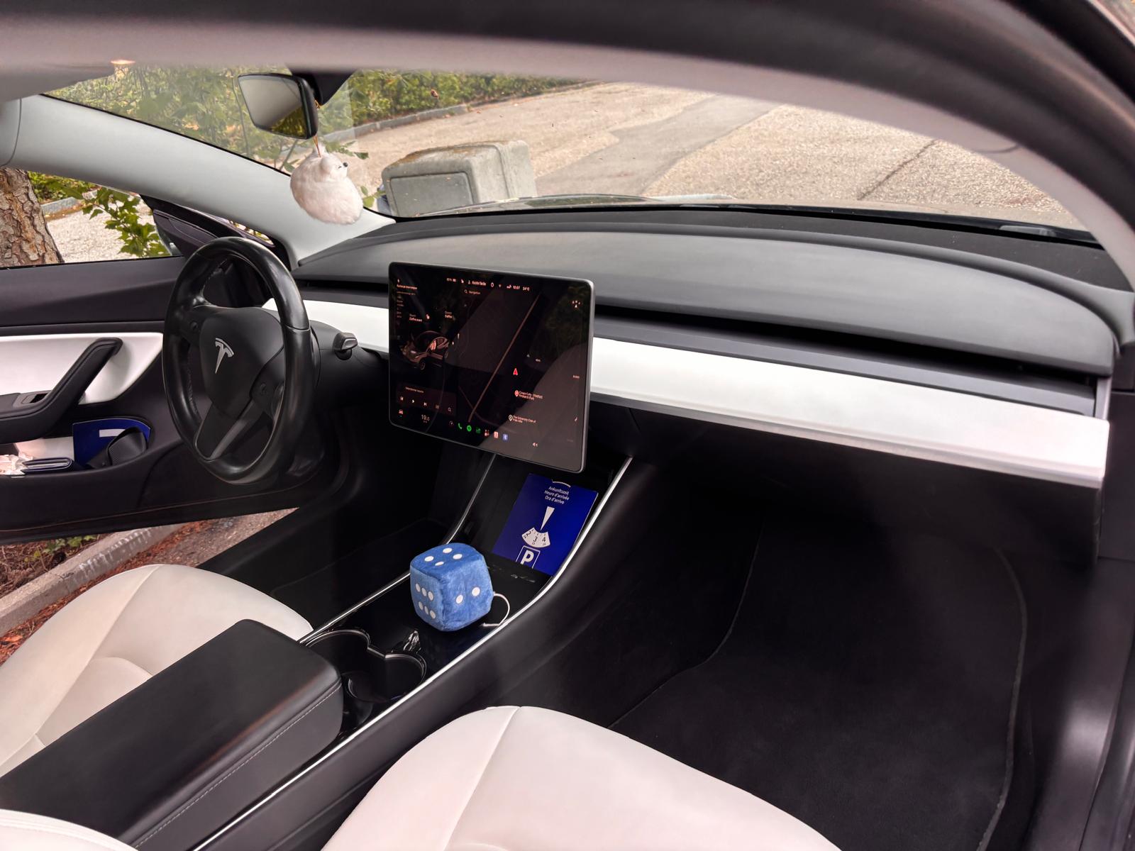 TESLA Long Range D-image-2
