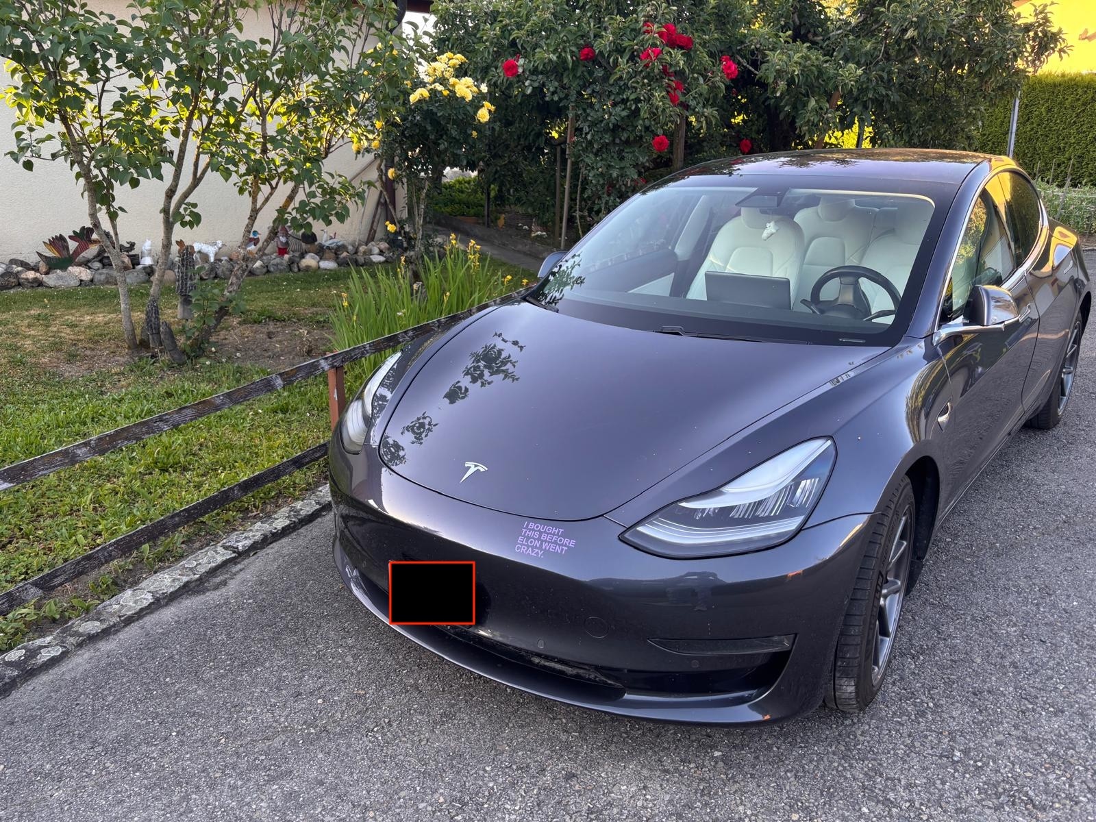 TESLA Long Range D-image-0