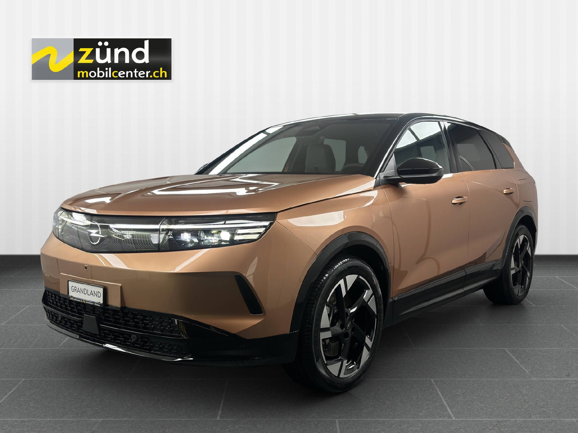 OPEL Grandland GS electric 213PS 73 kWh-image-0