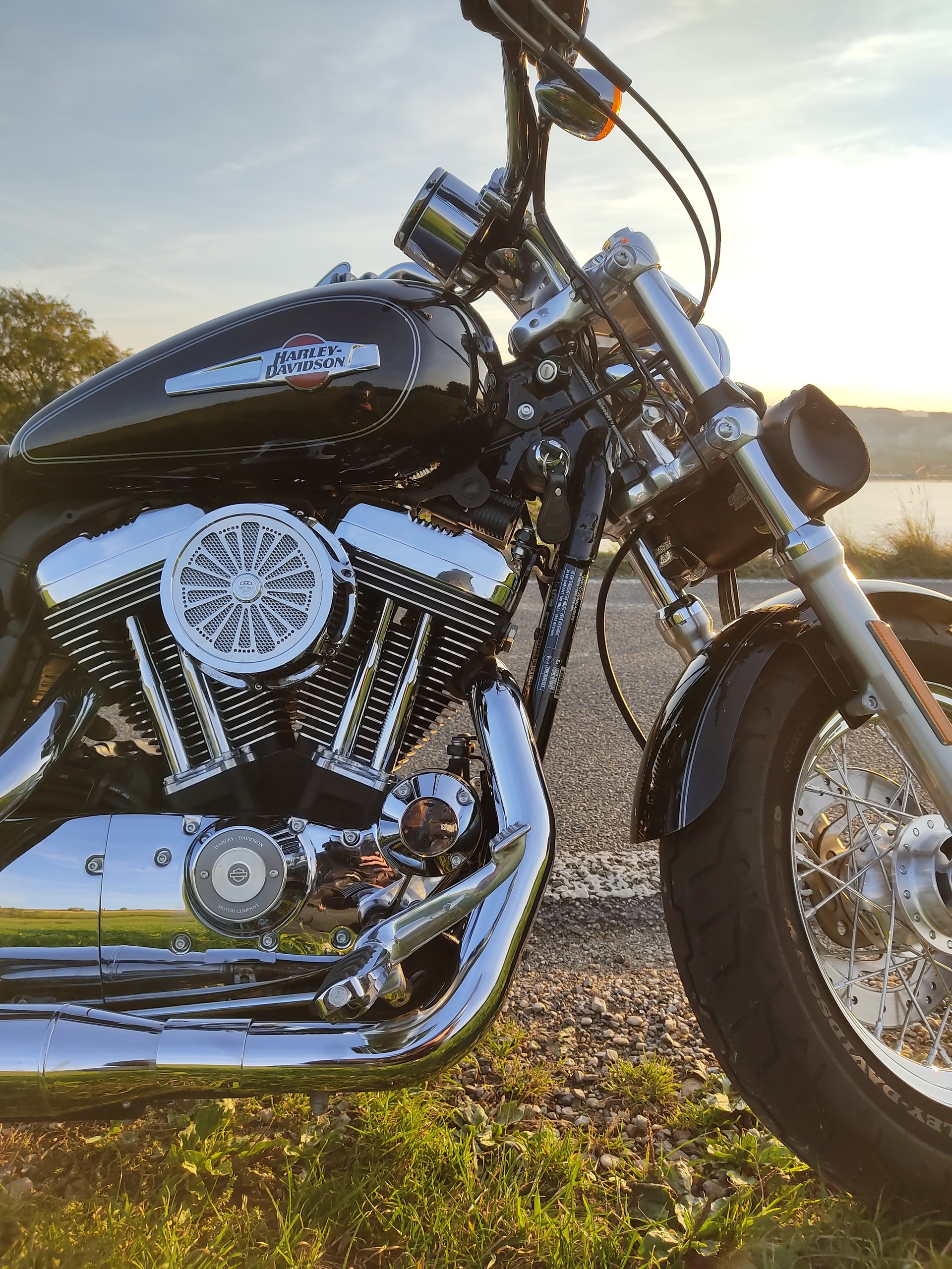 HARLEY-DAVIDSON XL 1200 C Sportster Custom-image-2
