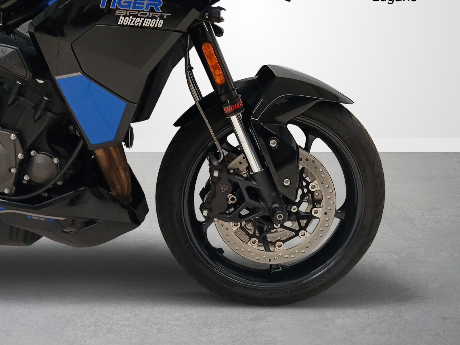 TRIUMPH Tiger Sport 800-image-10