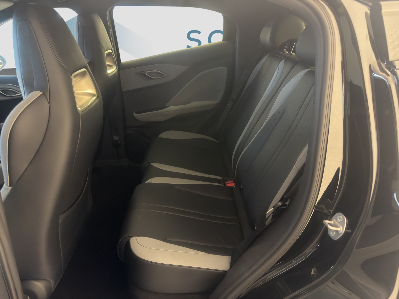 BYD Dolphin Surf Comfort-image-6