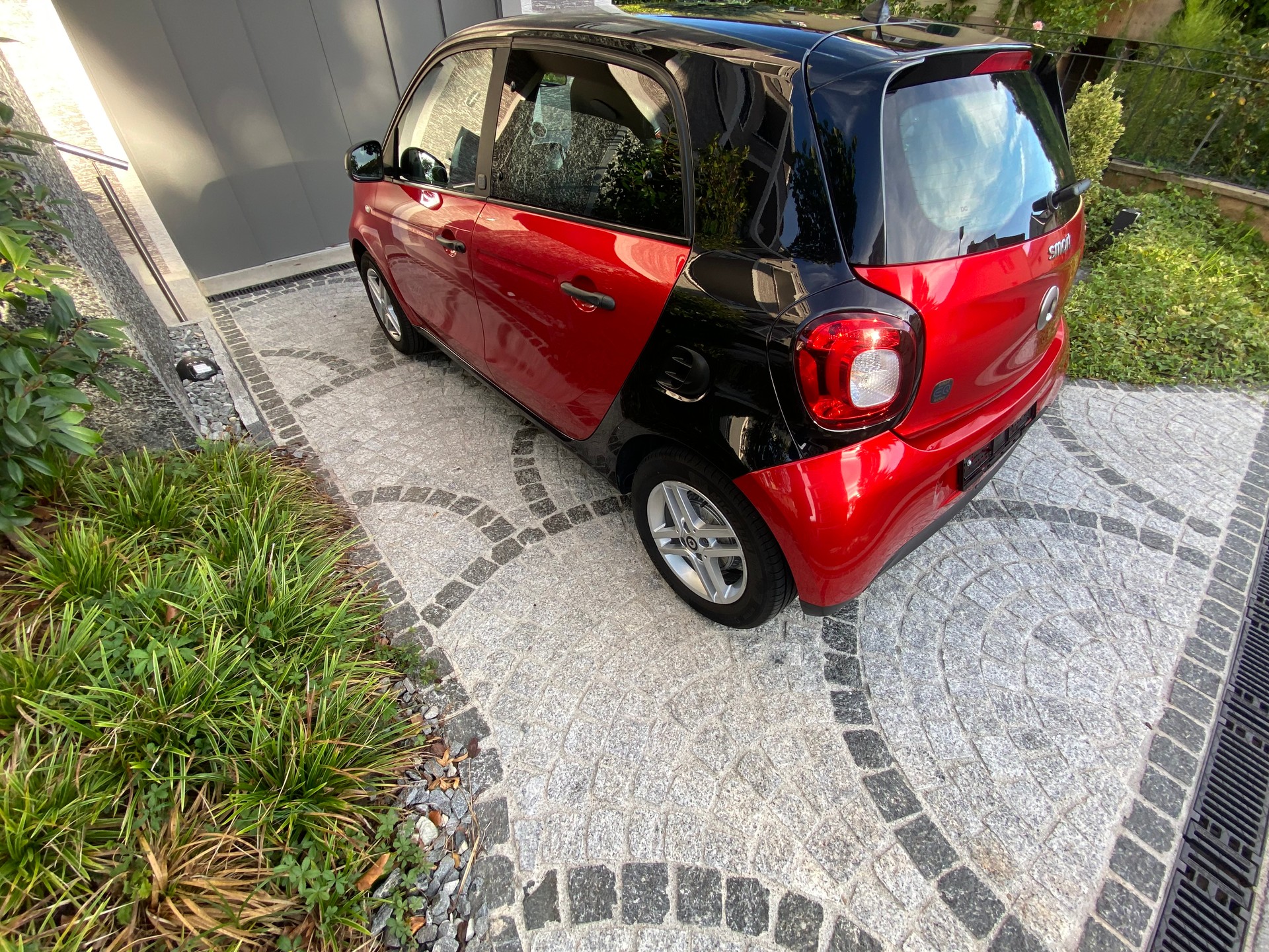 SMART forfour EQ pulse-image-2