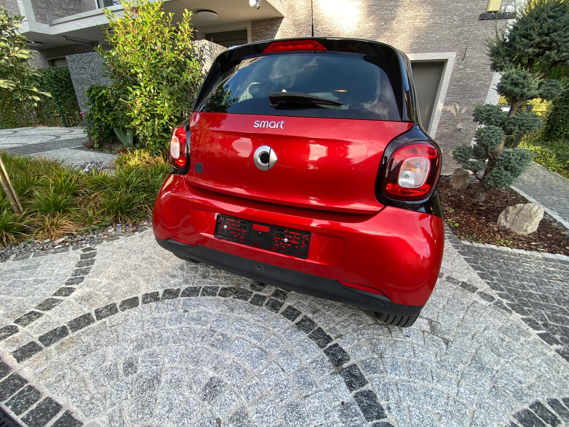 SMART forfour EQ pulse-image-3